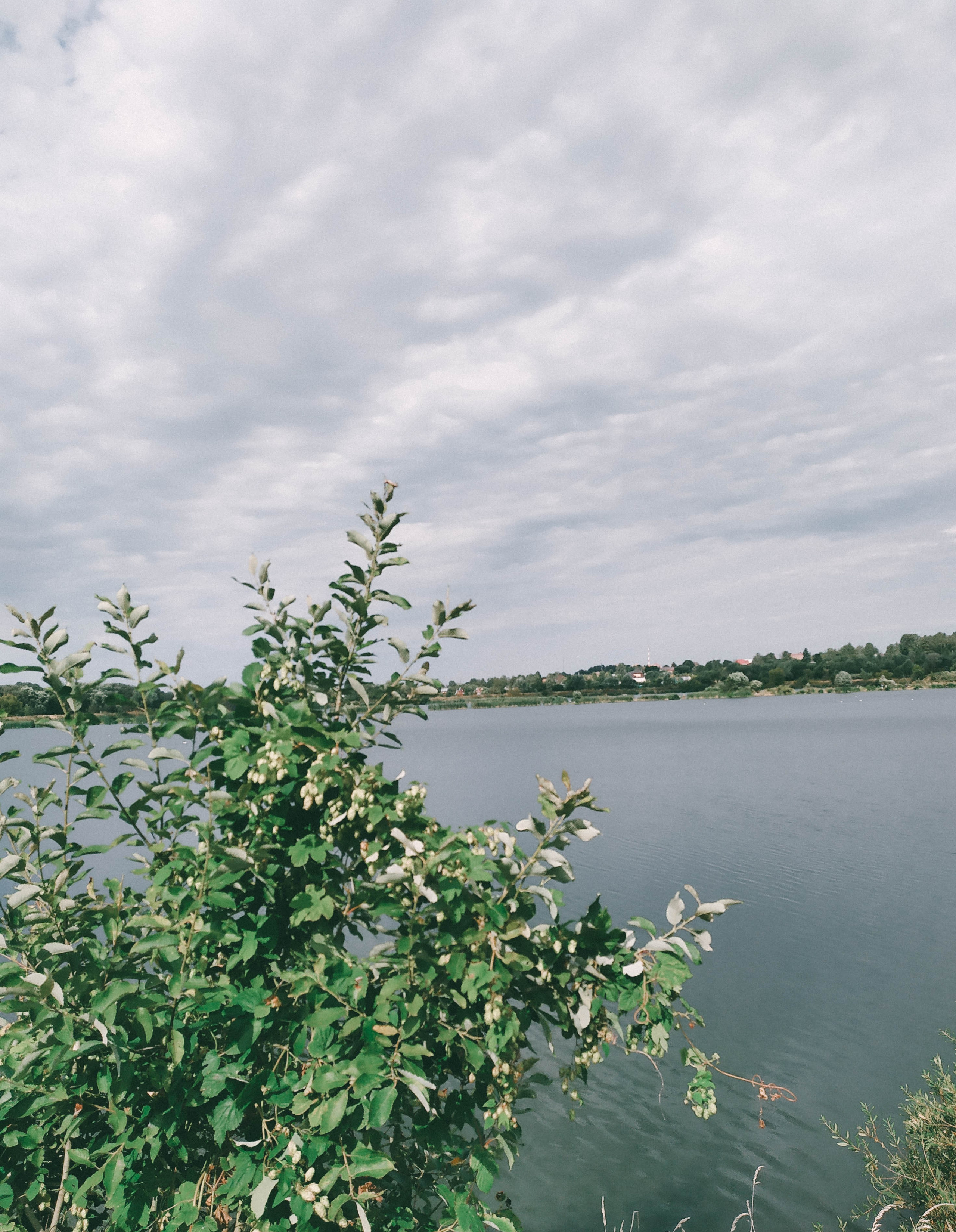 Фотограф Татьяна Марсуверских г. Жуковский, Москва. Репортажные съёмки, фотосессии, фотограф анималист, артфотограф, фотограф пейзажист. Фотограф для маркетплейсов, фотоуслуги в Жуковском Татьяна Марсуверских