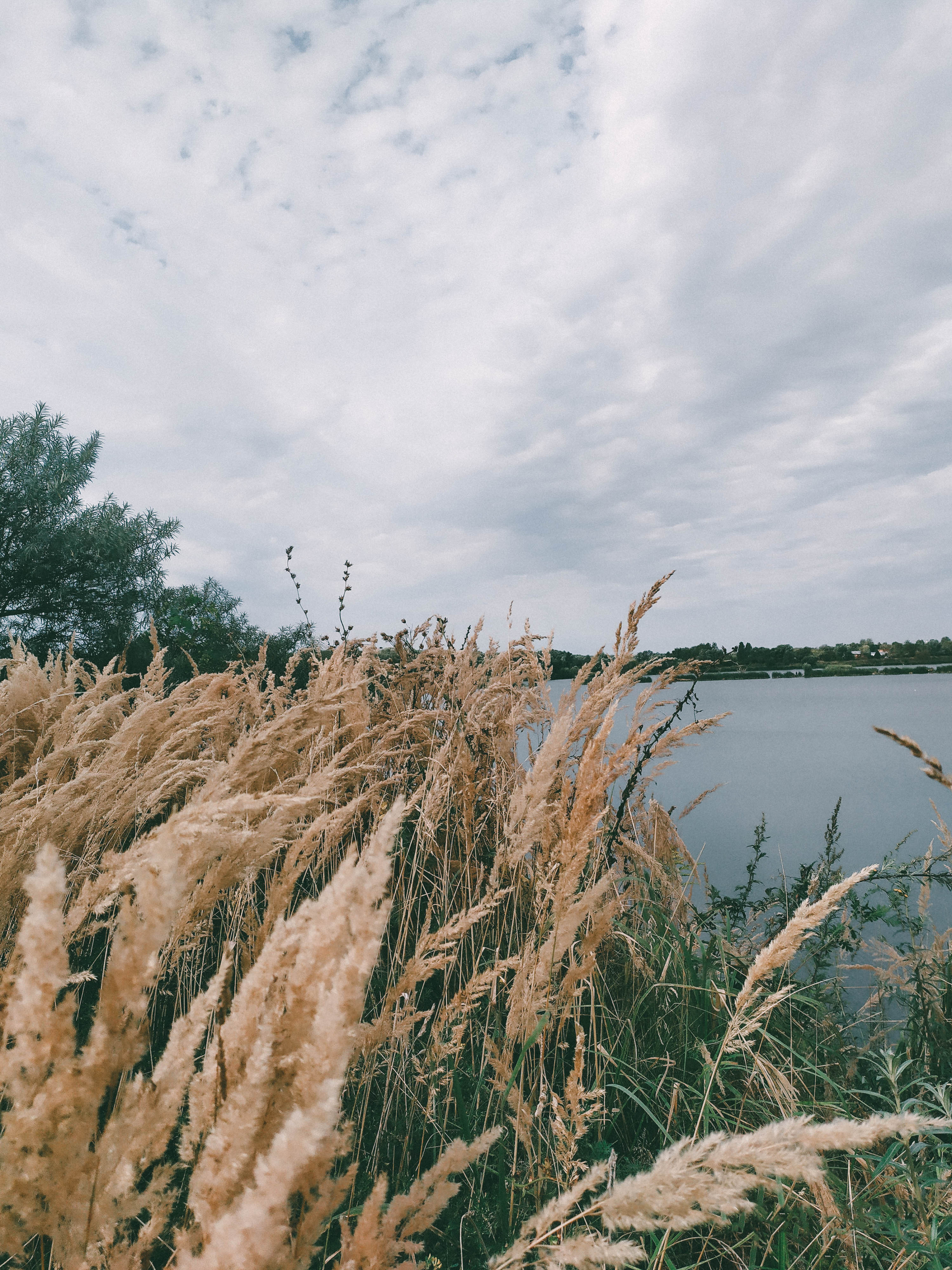 Фотограф Татьяна Марсуверских г. Жуковский, Москва. Репортажные съёмки, фотосессии, фотограф анималист, артфотограф, фотограф пейзажист. Фотограф для маркетплейсов, фотоуслуги в Жуковском Татьяна Марсуверских