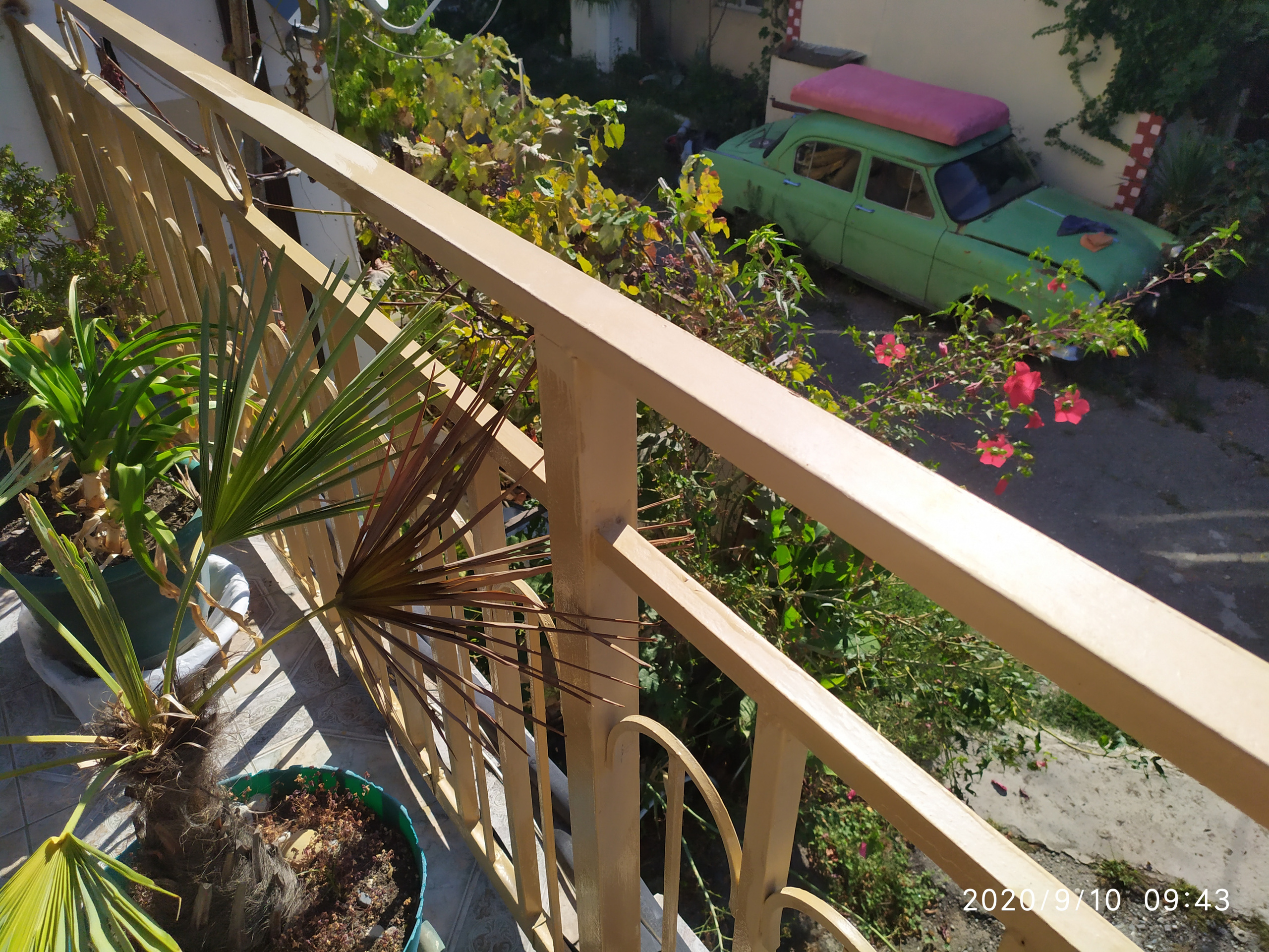 Фотограф Татьяна Марсуверских г. Жуковский, Москва. Репортажные съёмки, фотосессии, фотограф анималист, артфотограф, фотограф пейзажист. Фотограф для маркетплейсов, фотоуслуги в Жуковском Татьяна Марсуверских