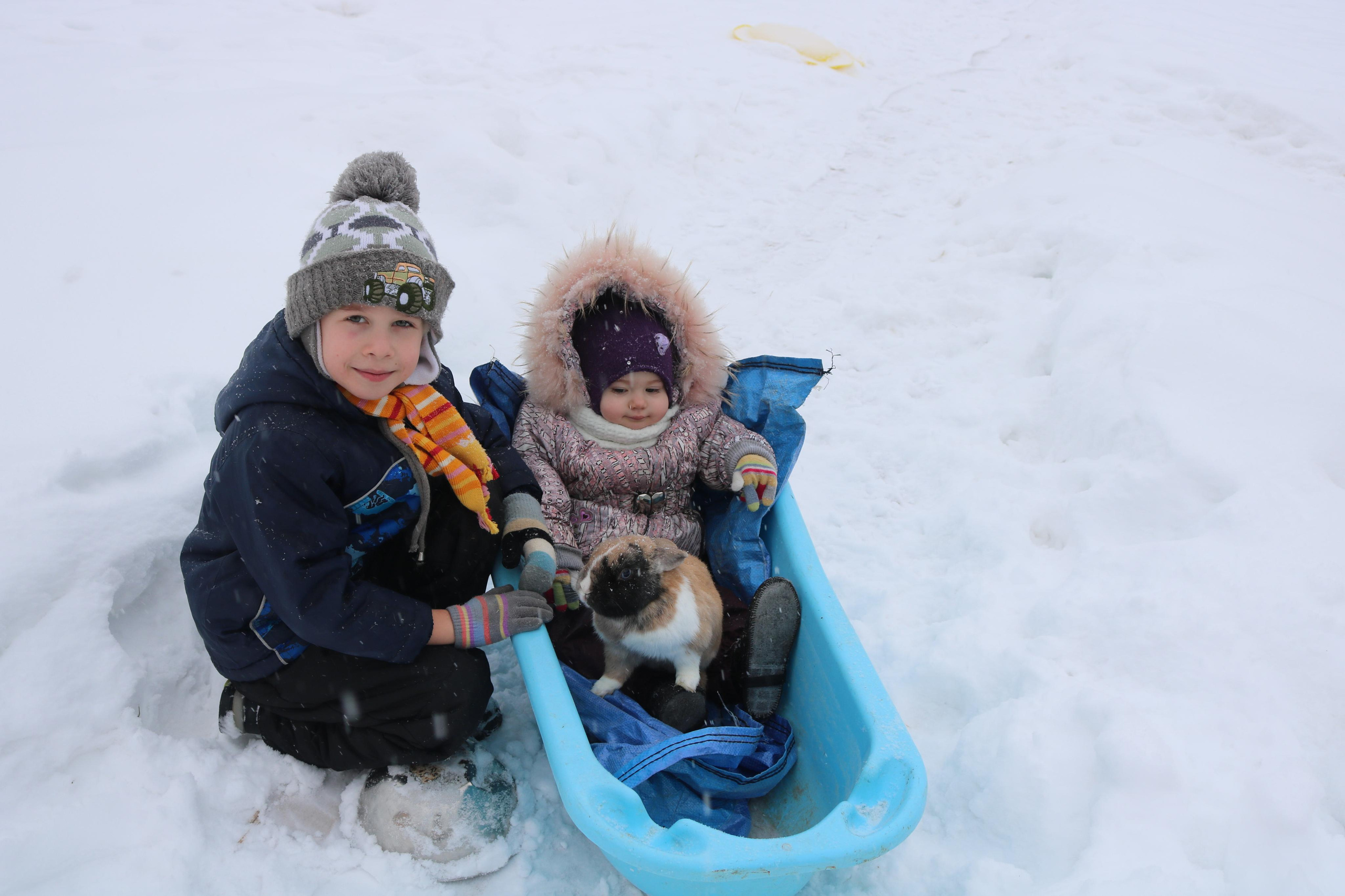 Фотограф Татьяна Марсуверских г. Жуковский, Москва и Мо. Репортажные съёмки, фотосессии,  фотограф анималист, фотосъёмка животных. Фотограф для маркетплейсов, фотоуслуги в Жуковском Татьяна Марсуверских