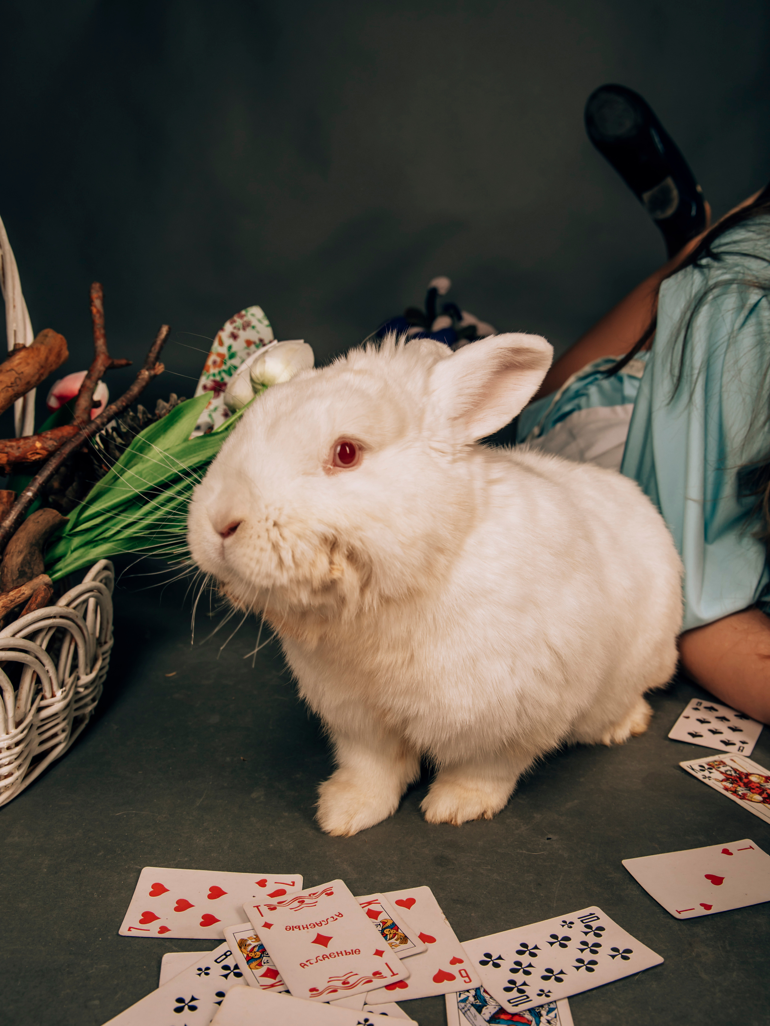 Фотограф Татьяна Марсуверских г. Жуковский, Москва. Репортаж, арт фотограф, пейзажист, реставрация фотографий, фотосувениры,реквизит. Фотограф для маркетплейсов, фотоуслуги в Жуковском Татьяна Марсуверских