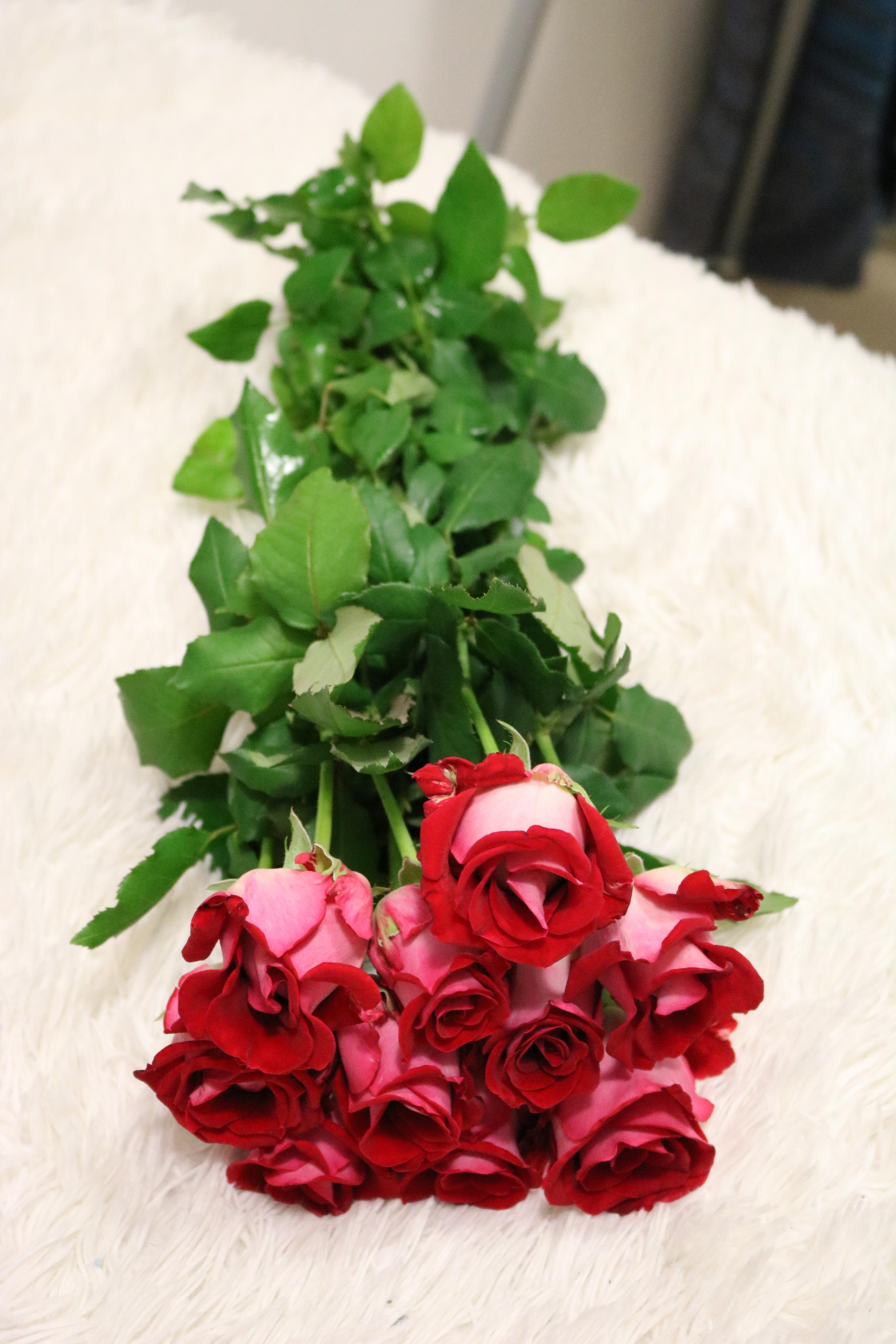 Фотограф Татьяна Марсуверских г. Жуковский, Москва. Репортажные съёмки, фотосессии, фотограф анималист, артфотограф, фотограф пейзажист. Фотограф для маркетплейсов, фотоуслуги в Жуковском Татьяна Марсуверских