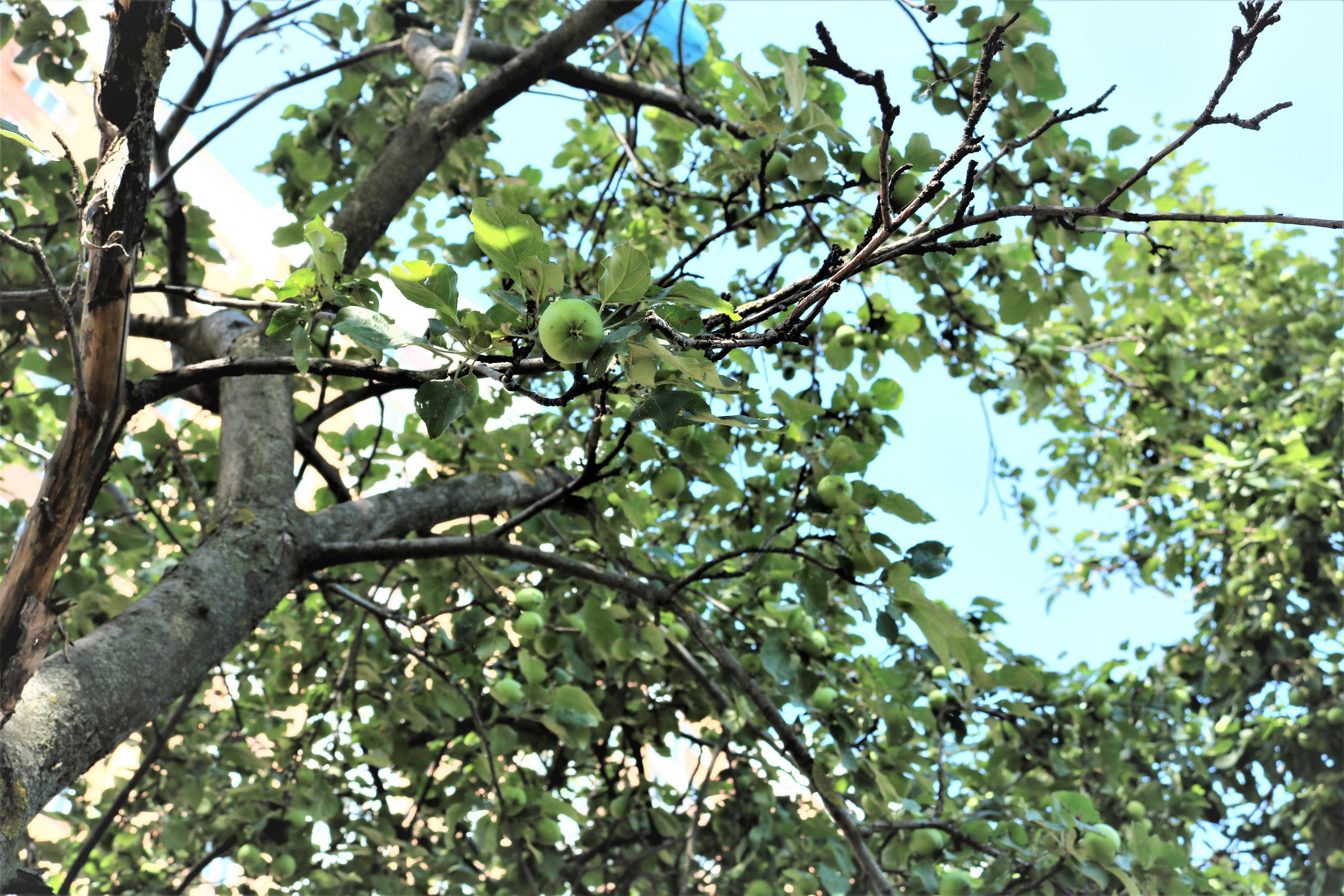 Фотограф Татьяна Марсуверских г. Жуковский, Москва. Репортажные съёмки, фотосессии, фотограф анималист, артфотограф, фотограф пейзажист. Фотограф для маркетплейсов, фотоуслуги в Жуковском Татьяна Марсуверских