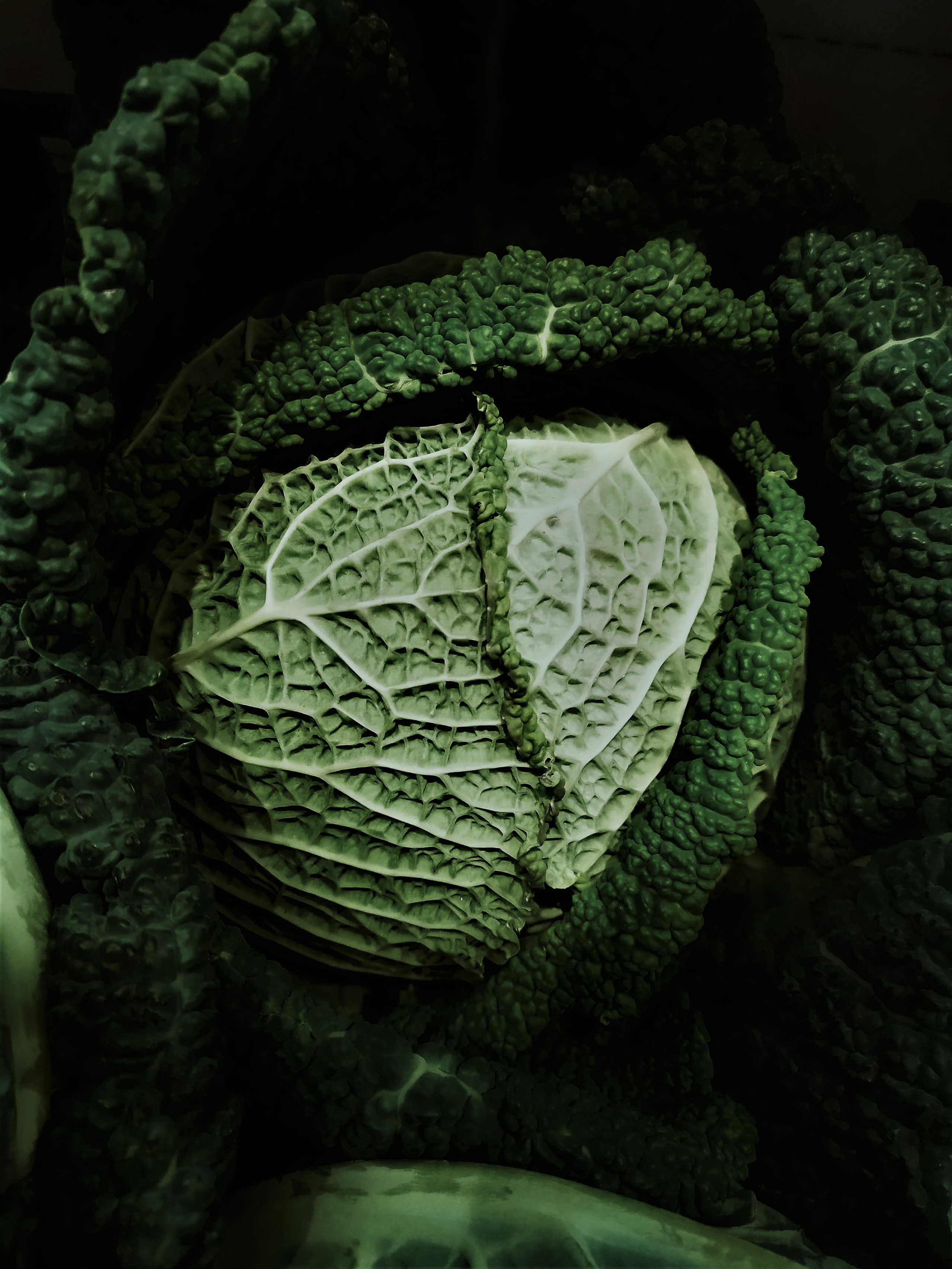 Фотограф Татьяна Марсуверских г. Жуковский, Москва. Репортажные съёмки, фотосессии, фотограф анималист, артфотограф, фотограф пейзажист. Фотограф для маркетплейсов, фотоуслуги в Жуковском Татьяна Марсуверских