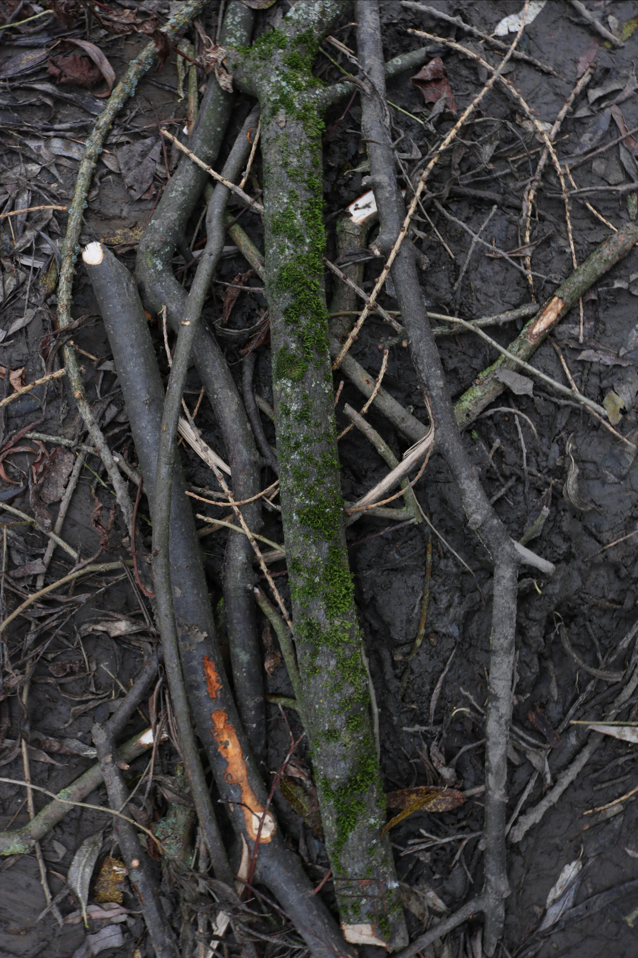 Фотограф Татьяна Марсуверских г. Жуковский, Москва. Репортажные съёмки, фотосессии, фотограф анималист, артфотограф, фотограф пейзажист. Фотограф для маркетплейсов, фотоуслуги в Жуковском Татьяна Марсуверских