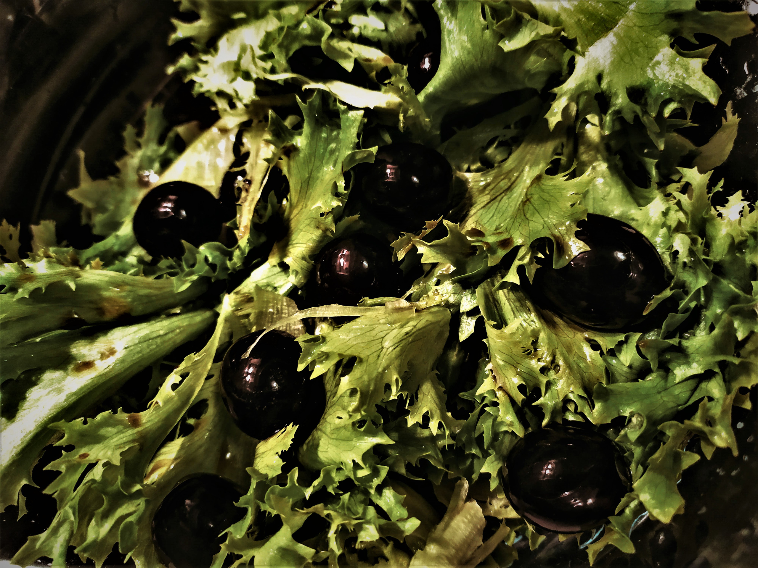 Фотограф Татьяна Марсуверских г. Жуковский, Москва и Мо. Репортажные съёмки, фотосессии, корпоративы, эмоциональный портрет, фуд фотограф. Фотограф для маркетплейсов, фотоуслуги в Жуковском Татьяна Марсуверских