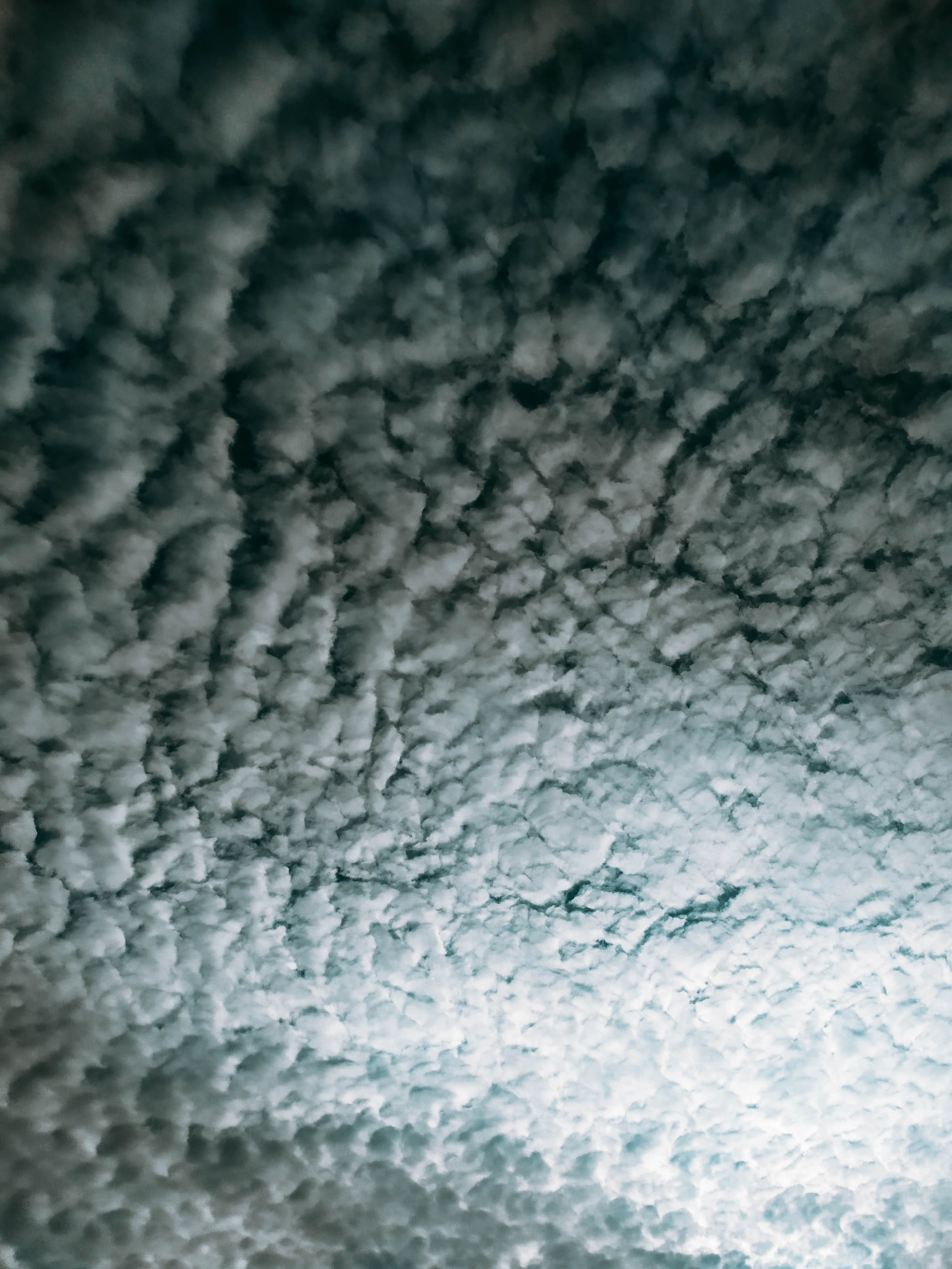 Фотограф Татьяна Марсуверских г. Жуковский, Москва. Репортажные съёмки, фотосессии, фотограф анималист, артфотограф, фотограф пейзажист. Фотограф для маркетплейсов, фотоуслуги в Жуковском Татьяна Марсуверских