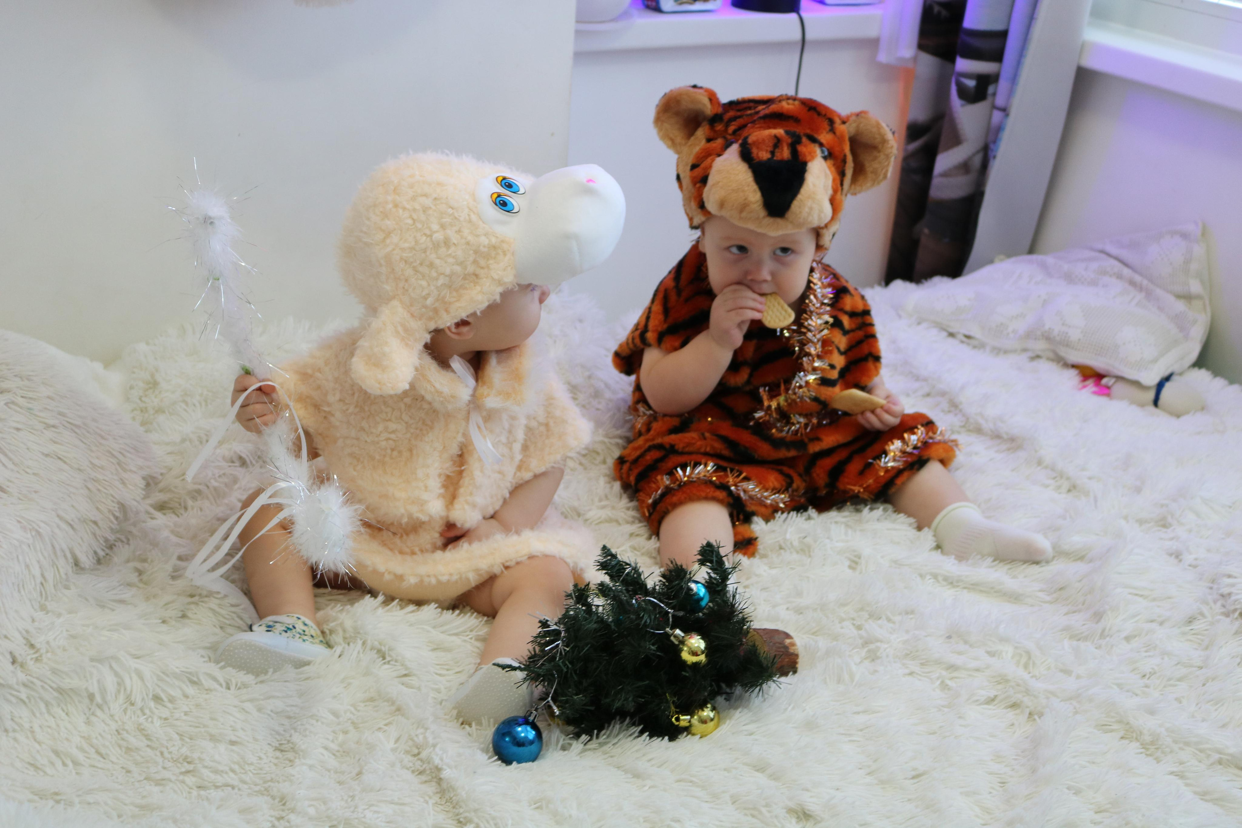 Фотограф Татьяна Марсуверских г. Жуковский, Москва и Мо. Репортажные съёмки, фотосессии, корпоративы, домашняя фотосессия. Фотограф для маркетплейсов, фотоуслуги в Жуковском Татьяна Марсуверских