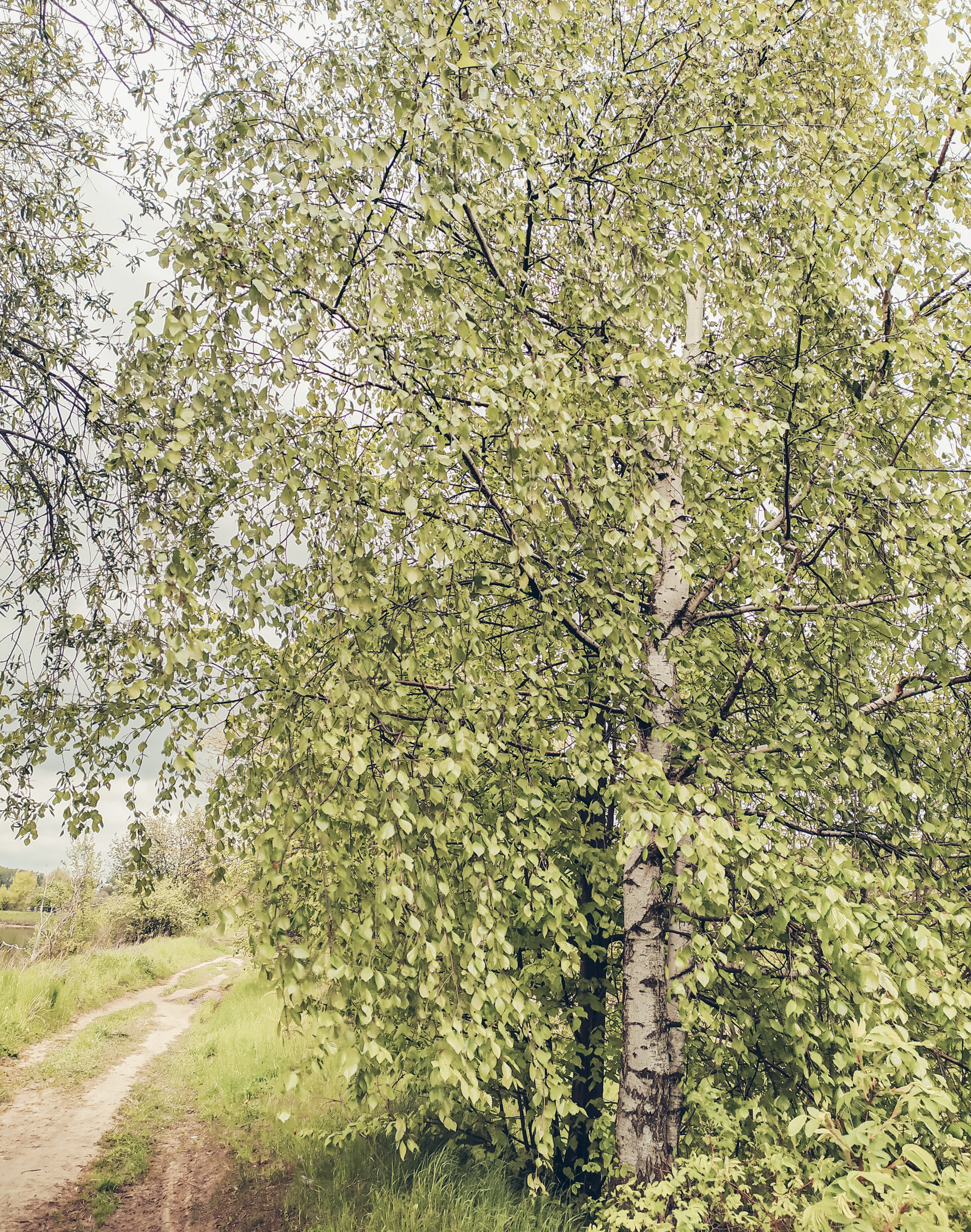 Фотограф Татьяна Марсуверских г. Жуковский, Москва. Репортажные съёмки, фотосессии, фотограф анималист, артфотограф, фотограф пейзажист. Фотограф для маркетплейсов, фотоуслуги в Жуковском Татьяна Марсуверских