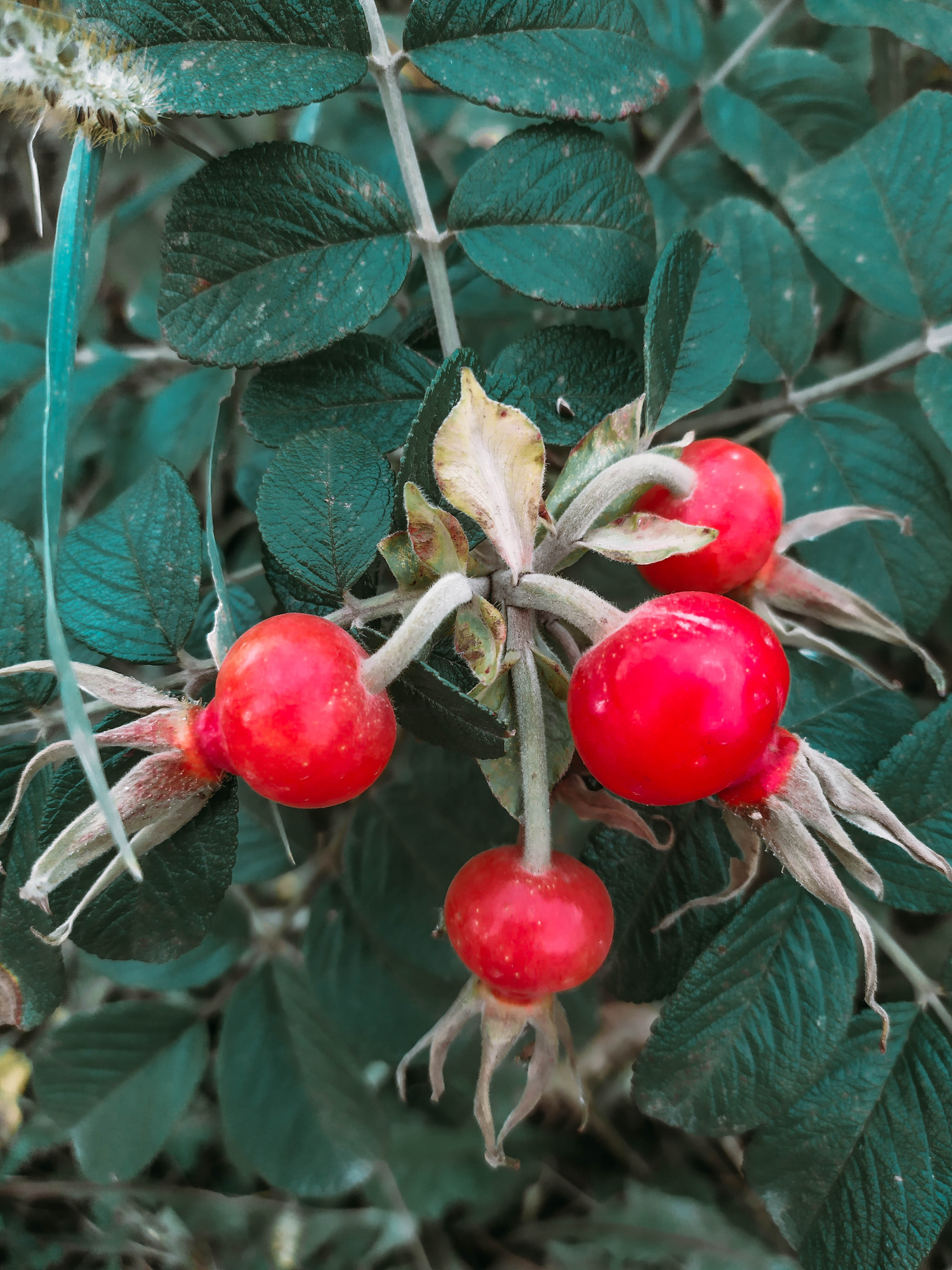 Фотограф Татьяна Марсуверских г. Жуковский, Москва. Репортажные съёмки, фотосессии, фотограф анималист, артфотограф, фотограф пейзажист. Фотограф для маркетплейсов, фотоуслуги в Жуковском Татьяна Марсуверских