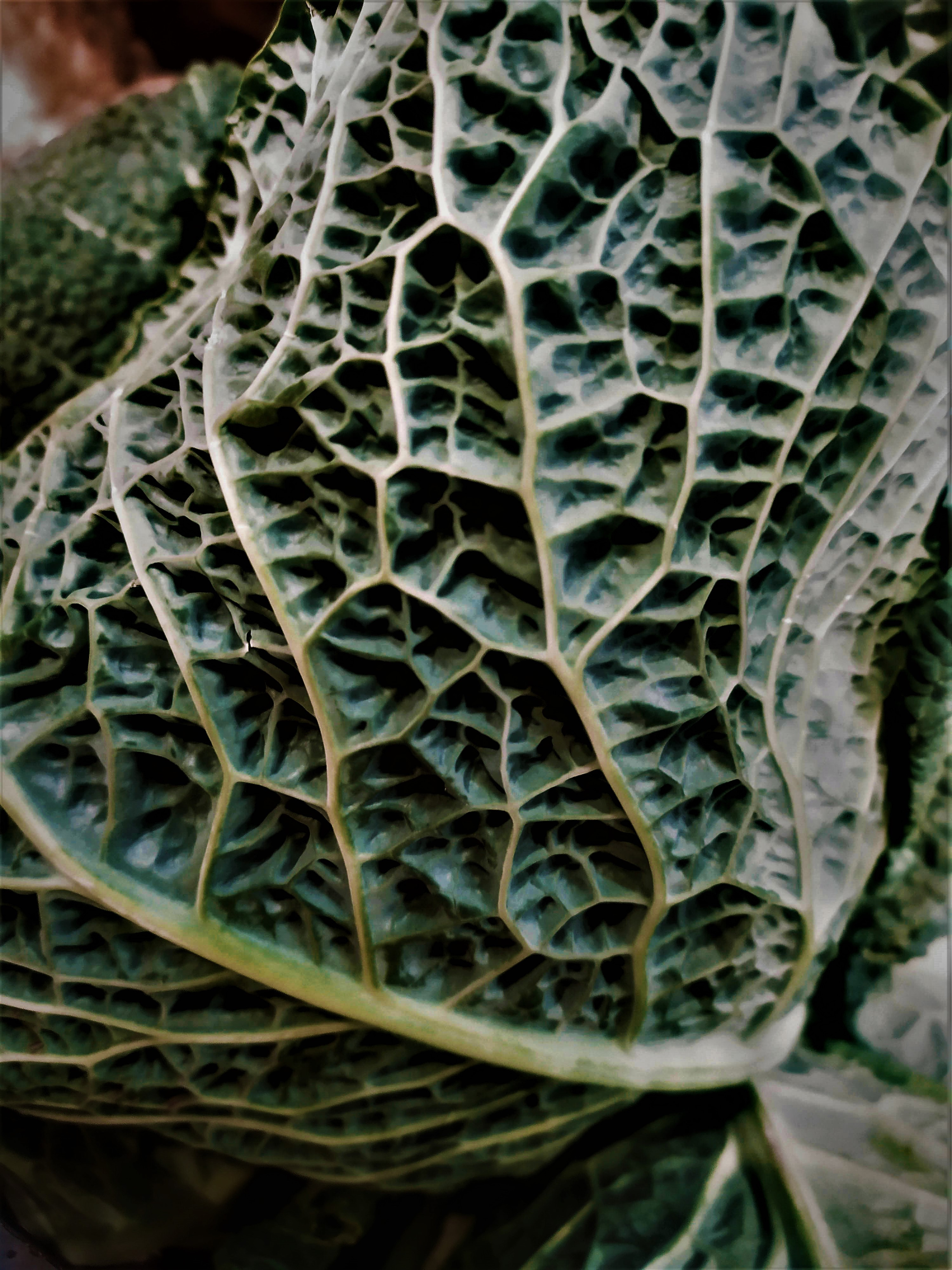 Фотограф Татьяна Марсуверских г. Жуковский, Москва. Репортажные съёмки, фотосессии, фотограф анималист, артфотограф, фотограф пейзажист. Фотограф для маркетплейсов, фотоуслуги в Жуковском Татьяна Марсуверских