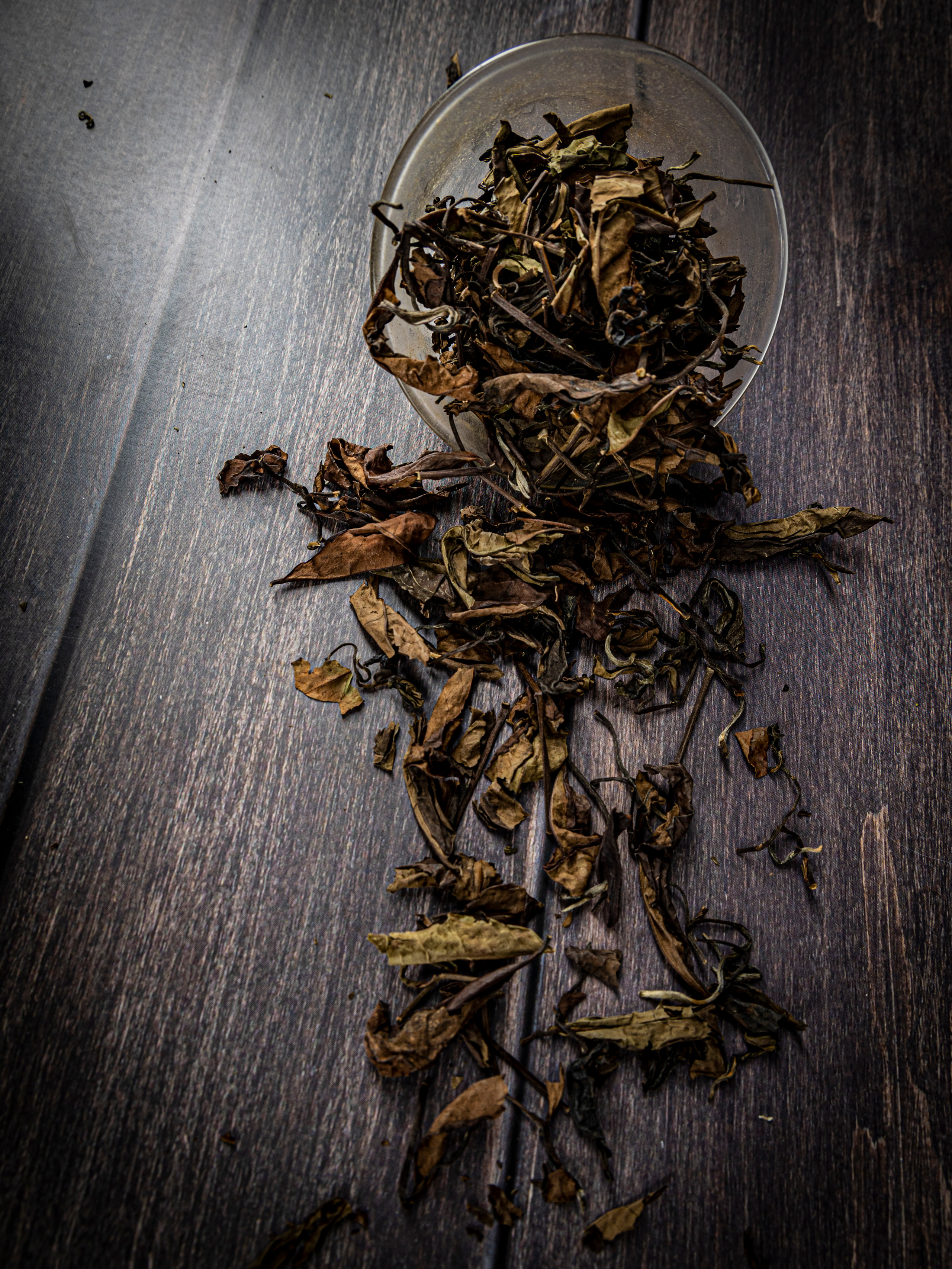 Фотограф Татьяна Марсуверских г. Жуковский, Москва и М о. Репортажные съёмки, фотосессии, съёмки для маркетплейс. Фотограф для маркетплейсов, фотоуслуги в Жуковском Татьяна Марсуверских