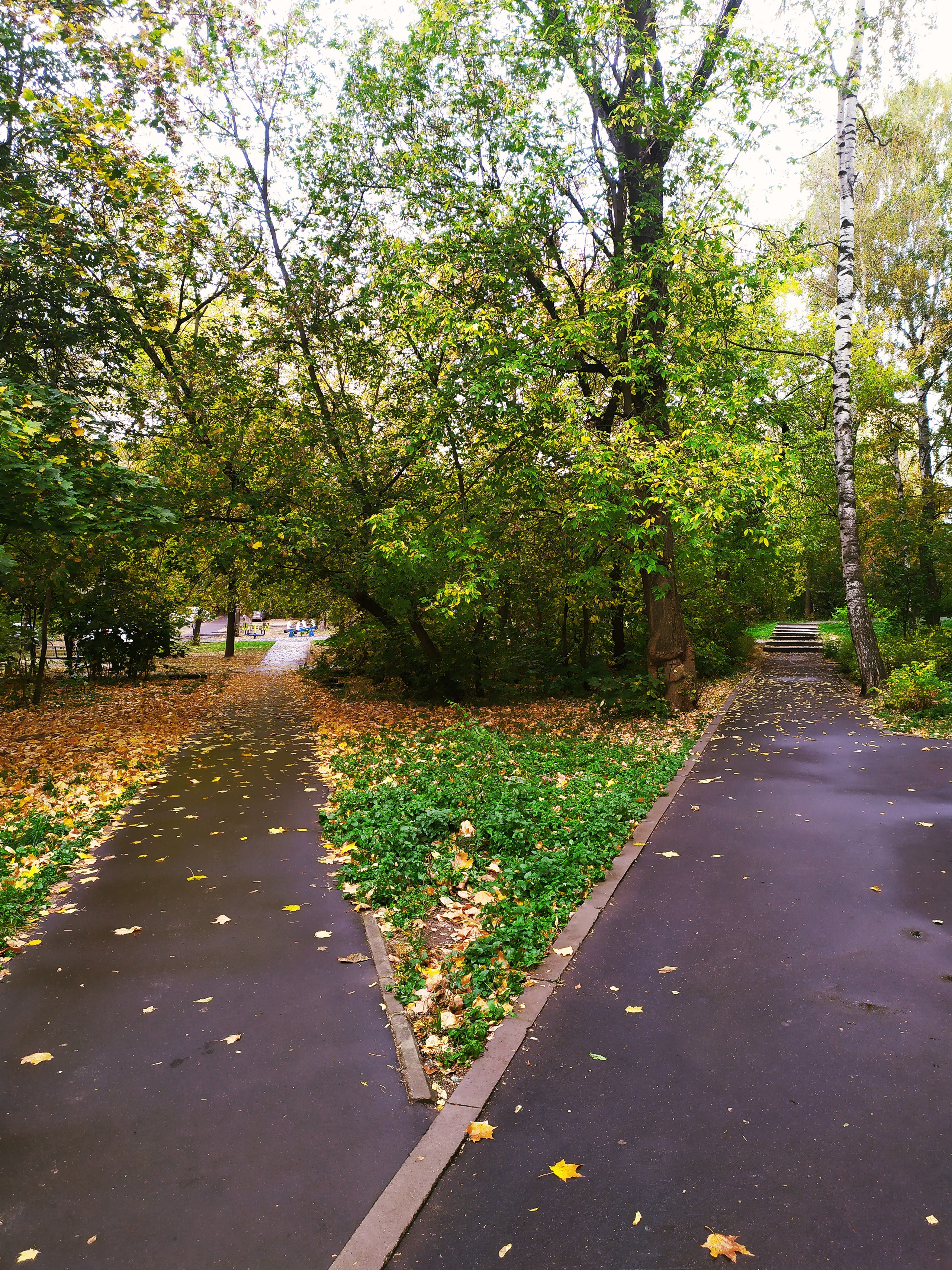 Фотограф Татьяна Марсуверских г. Жуковский, Москва. Репортажные съёмки, фотосессии, фотограф анималист, артфотограф, фотограф пейзажист. Фотограф для маркетплейсов, фотоуслуги в Жуковском Татьяна Марсуверских