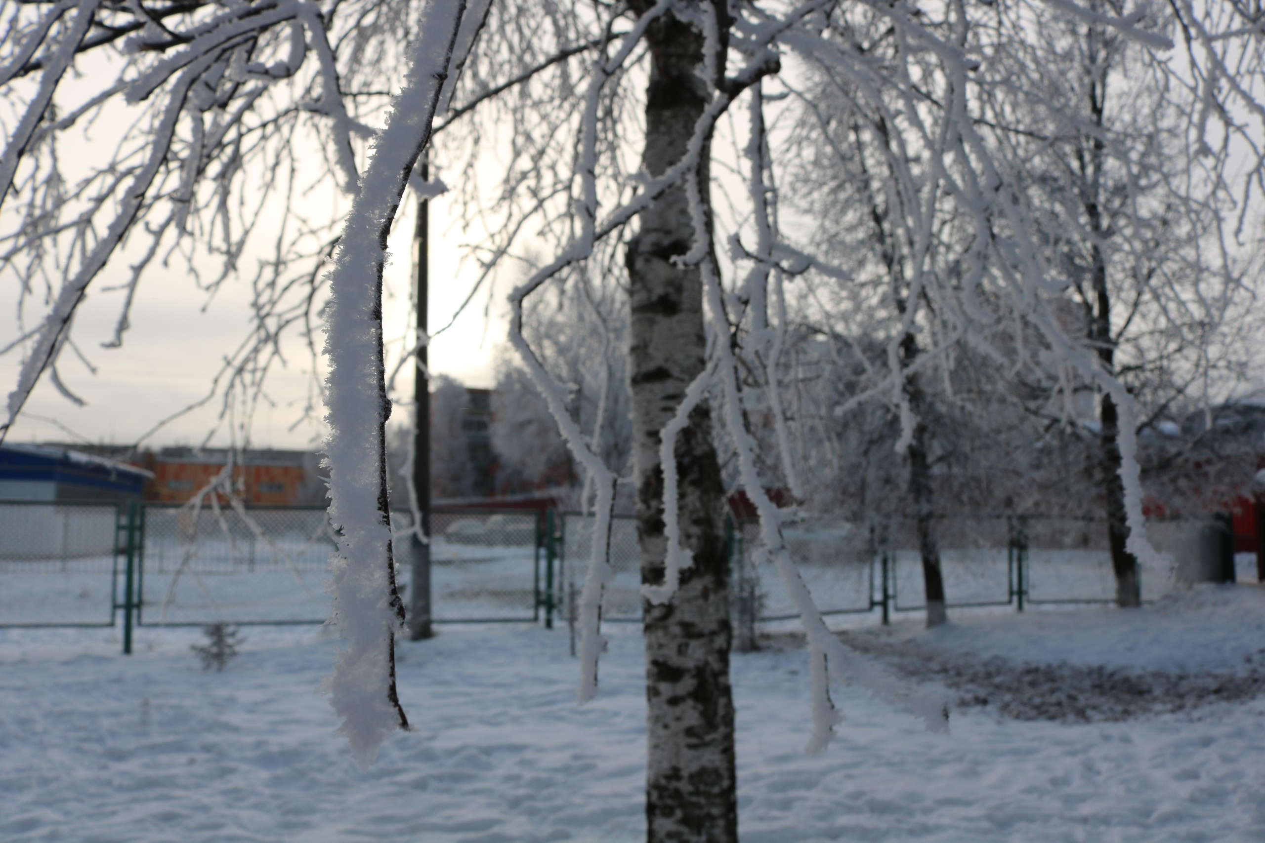 Фотограф Татьяна Марсуверских г. Жуковский, Москва. Репортажные съёмки, фотосессии, фотограф анималист, артфотограф, фотограф пейзажист. Фотограф для маркетплейсов, фотоуслуги в Жуковском Татьяна Марсуверских