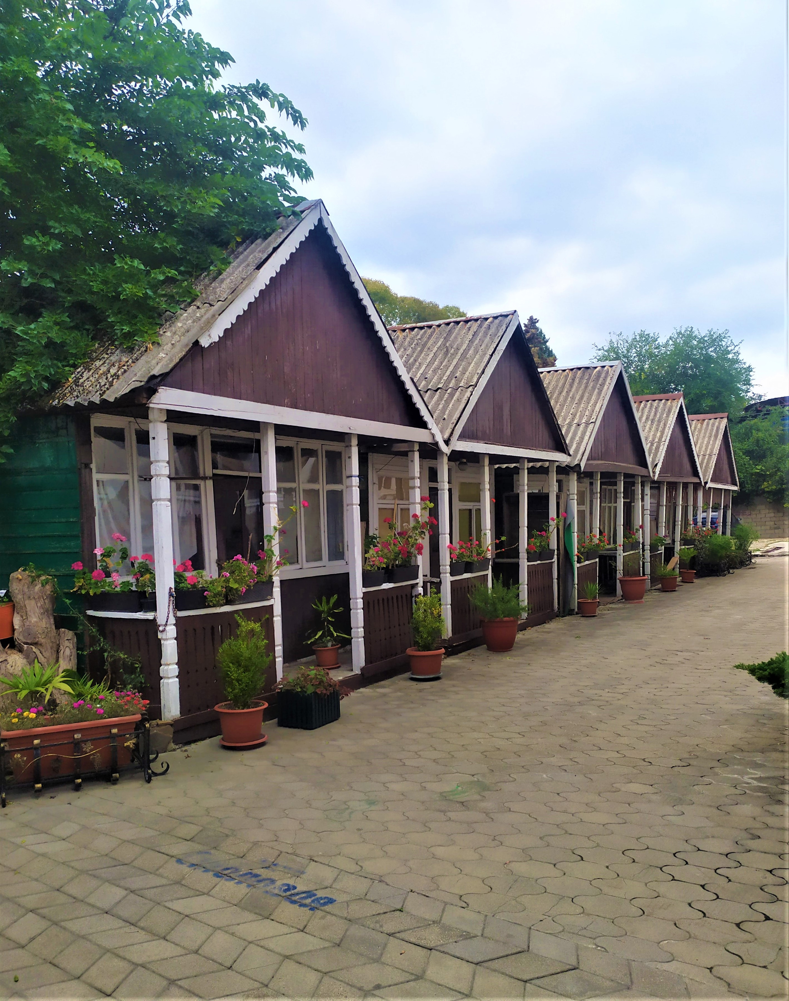 Фотограф Татьяна Марсуверских г. Жуковский, Москва. Репортажные съёмки, фотосессии, фотограф анималист, артфотограф, фотограф пейзажист. Фотограф для маркетплейсов, фотоуслуги в Жуковском Татьяна Марсуверских
