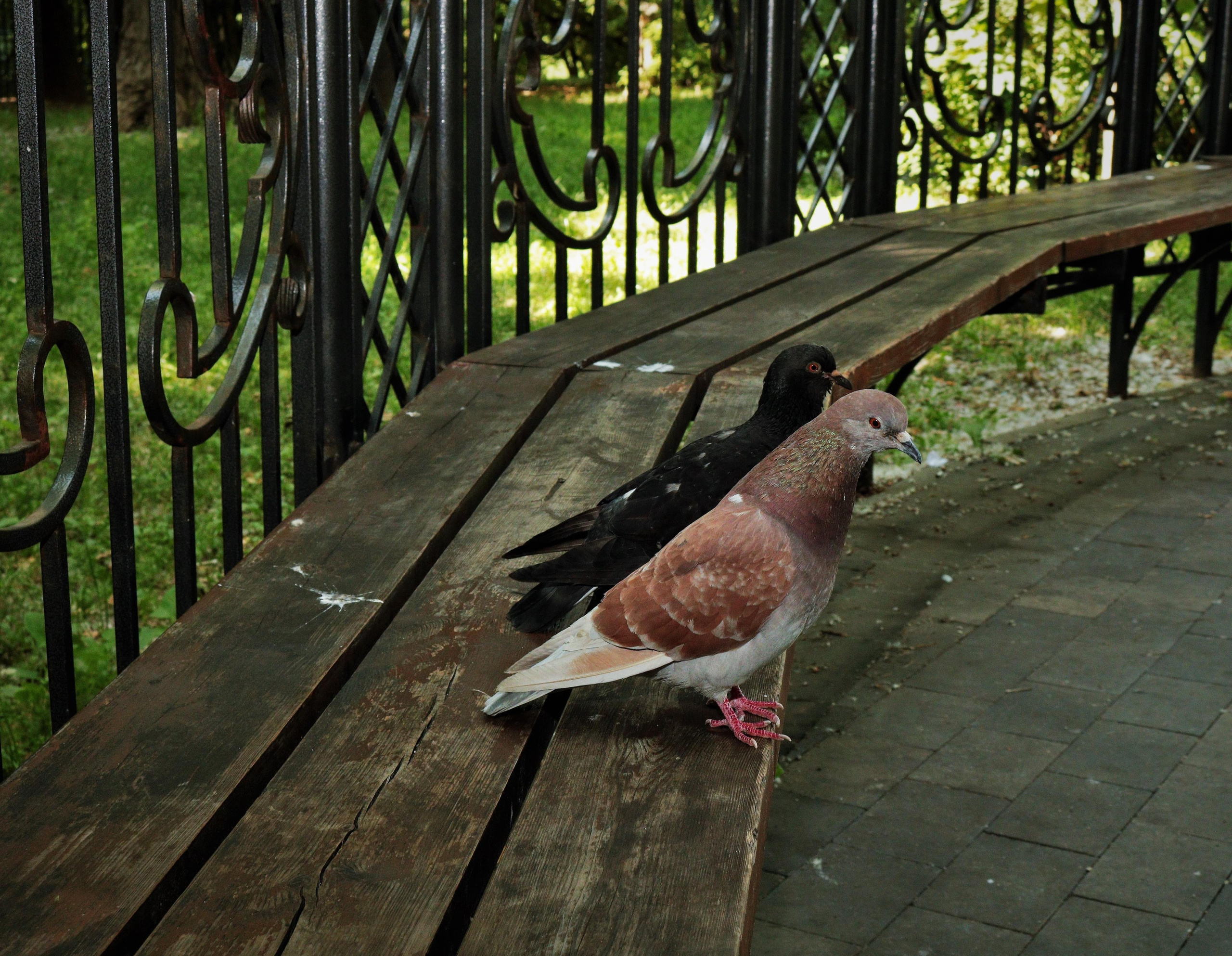 Фотограф Татьяна Марсуверских г. Жуковский, Москва. Репортажные съёмки, фотосессии, фотограф анималист, артфотограф, фотограф пейзажист. Фотограф для маркетплейсов, фотоуслуги в Жуковском Татьяна Марсуверских