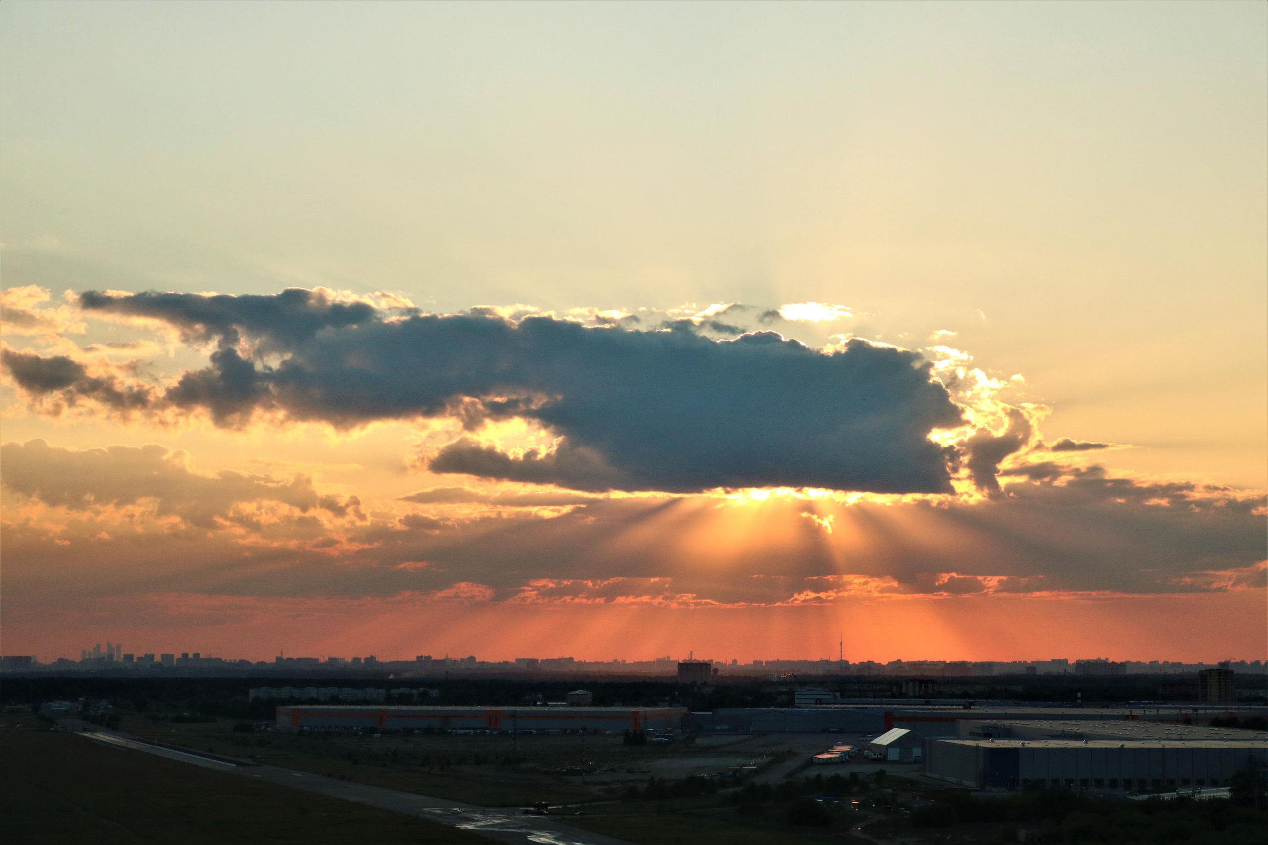 Фотограф Татьяна Марсуверских г. Жуковский, Москва. Репортажные съёмки, фотосессии, фотограф анималист, артфотограф, фотограф пейзажист. Фотограф для маркетплейсов, фотоуслуги в Жуковском Татьяна Марсуверских