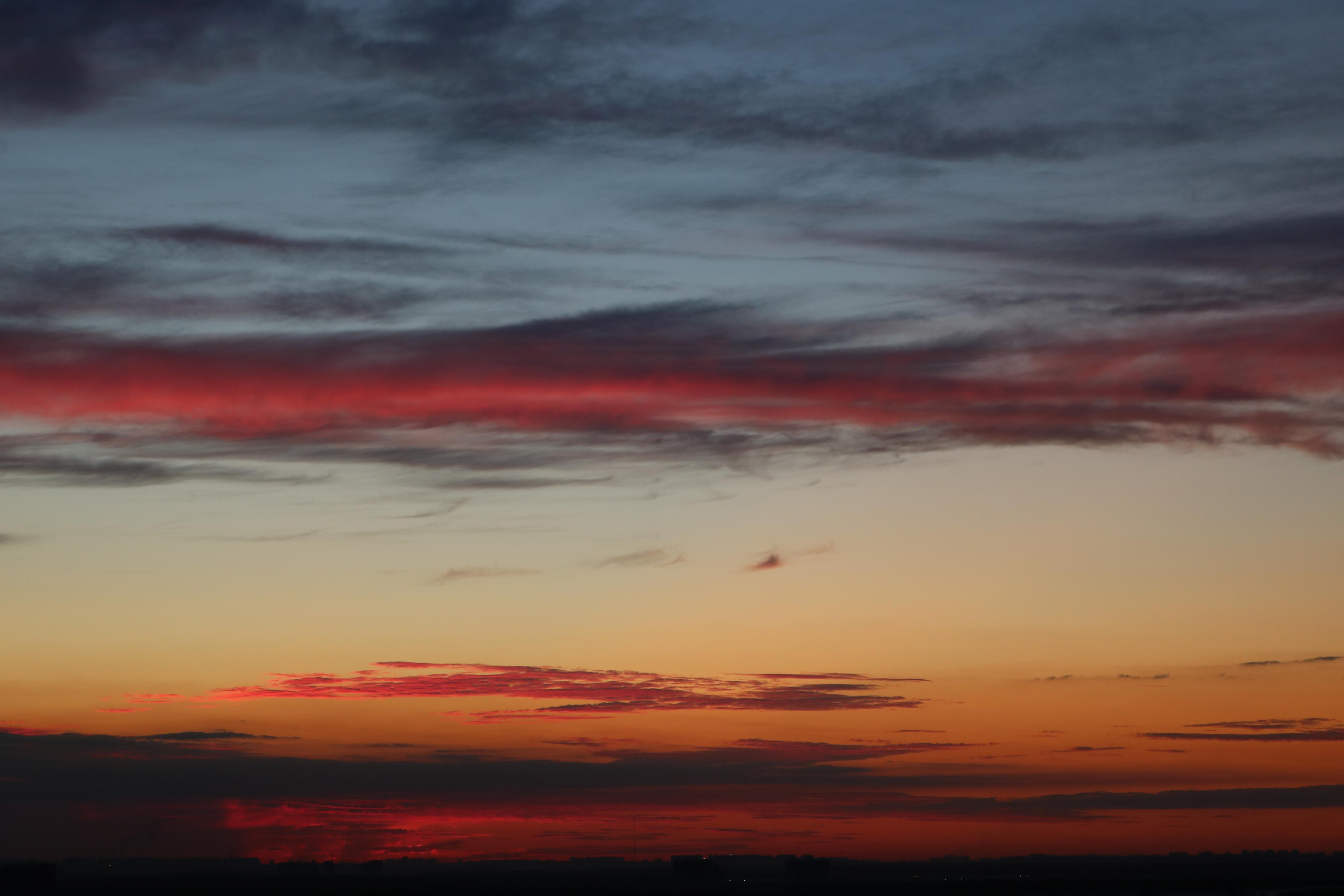 Фотограф Татьяна Марсуверских г. Жуковский, Москва. Репортажные съёмки, фотосессии, фотограф анималист, артфотограф, фотограф пейзажист. Фотограф для маркетплейсов, фотоуслуги в Жуковском Татьяна Марсуверских