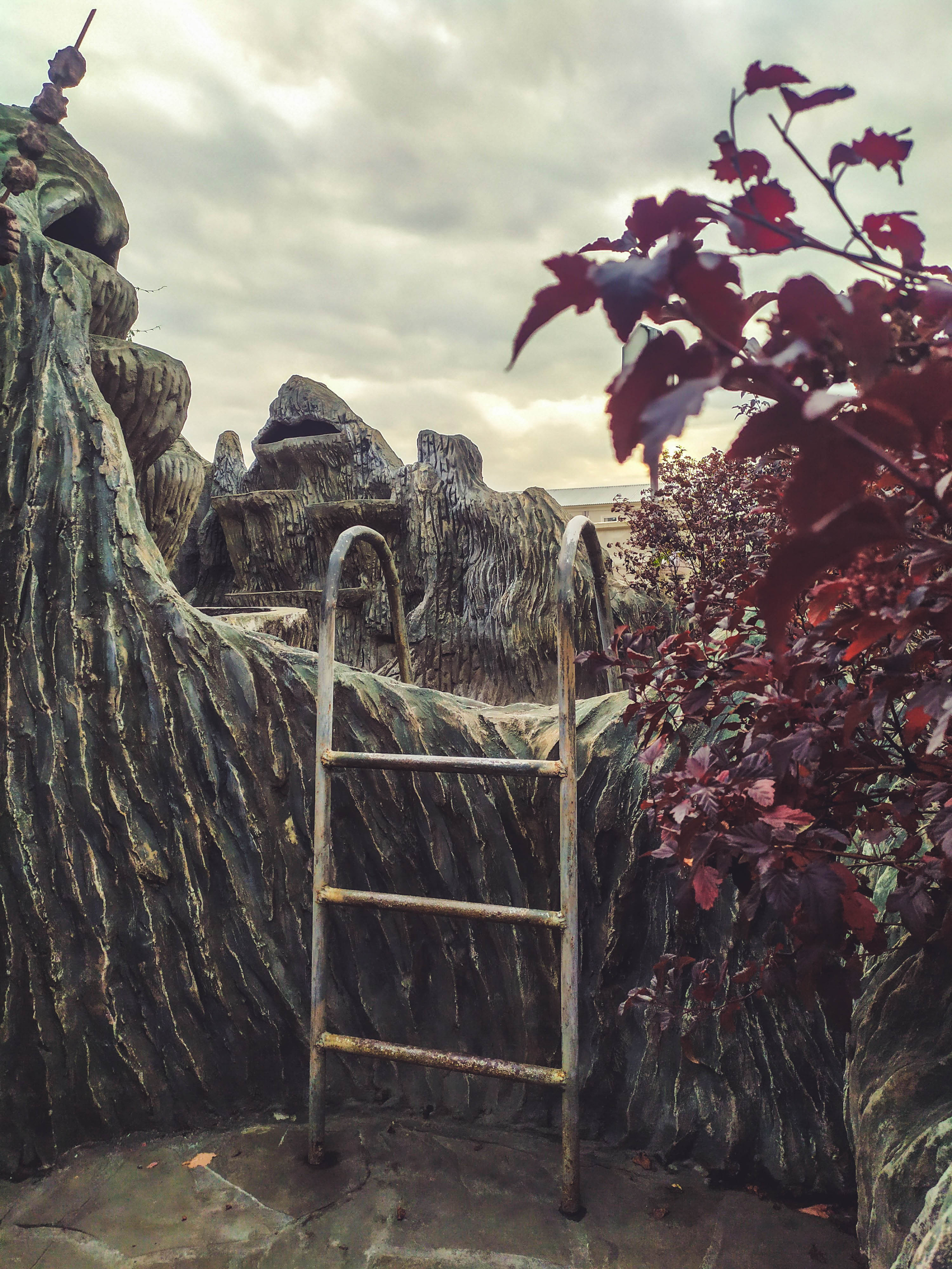 Фотограф Татьяна Марсуверских г. Жуковский, Москва и Мо. Репортажные съёмки, фотосессии, корпоративы, эмоциональный портрет, фуд фотограф. Фотограф для маркетплейсов, фотоуслуги в Жуковском Татьяна Марсуверских