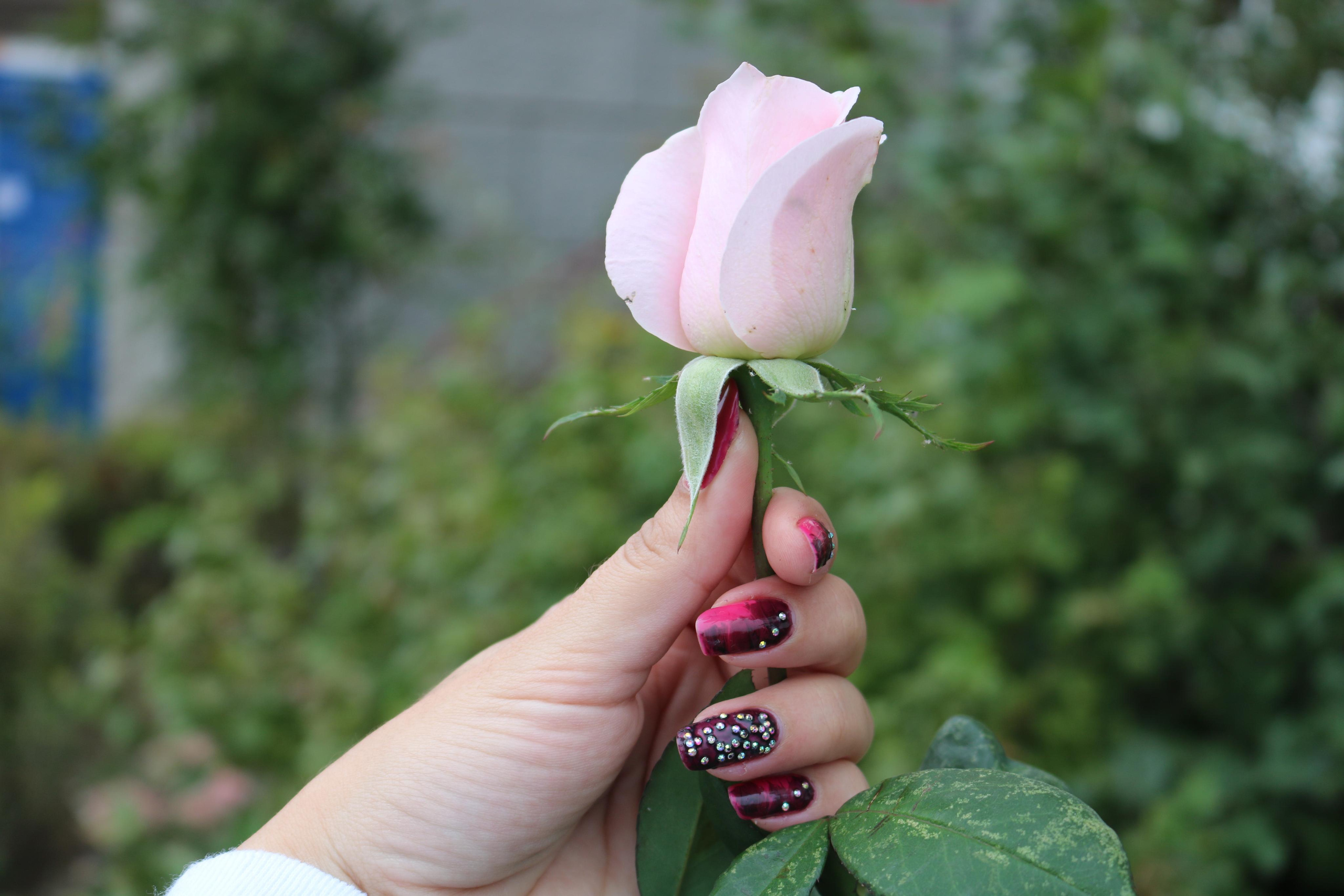 Фотограф Татьяна Марсуверских г. Жуковский, Москва. Репортажные съёмки, фотосессии, фотограф анималист, артфотограф, фотограф пейзажист. Фотограф для маркетплейсов, фотоуслуги в Жуковском Татьяна Марсуверских