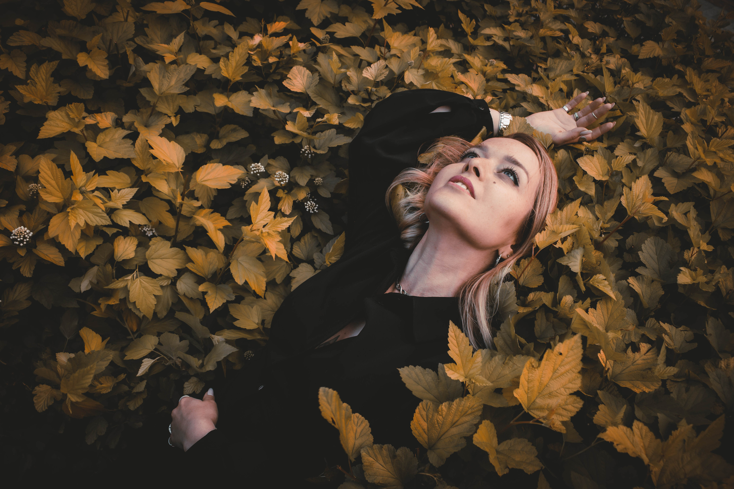 Фотограф Татьяна Марсуверских г. Жуковский, Москва и Мо. Репортажные съёмки, фотосессии,  фотограф анималист, фотосъёмка животных. Фотограф для маркетплейсов, фотоуслуги в Жуковском Татьяна Марсуверских