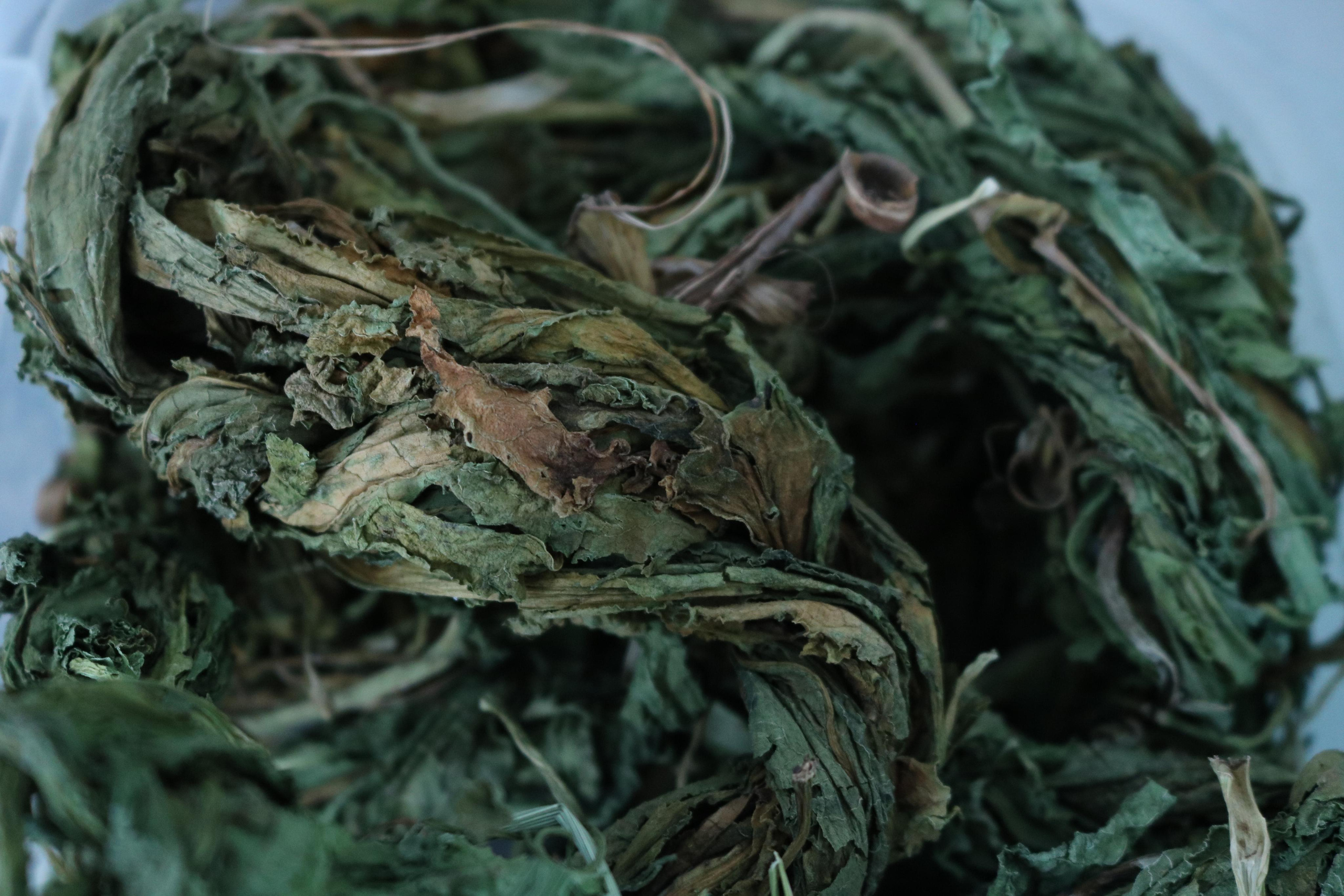 Фотограф Татьяна Марсуверских г. Жуковский, Москва и Мо. Репортажные съёмки, фотосессии, корпоративы, эмоциональный портрет, фуд фотограф. Фотограф для маркетплейсов, фотоуслуги в Жуковском Татьяна Марсуверских