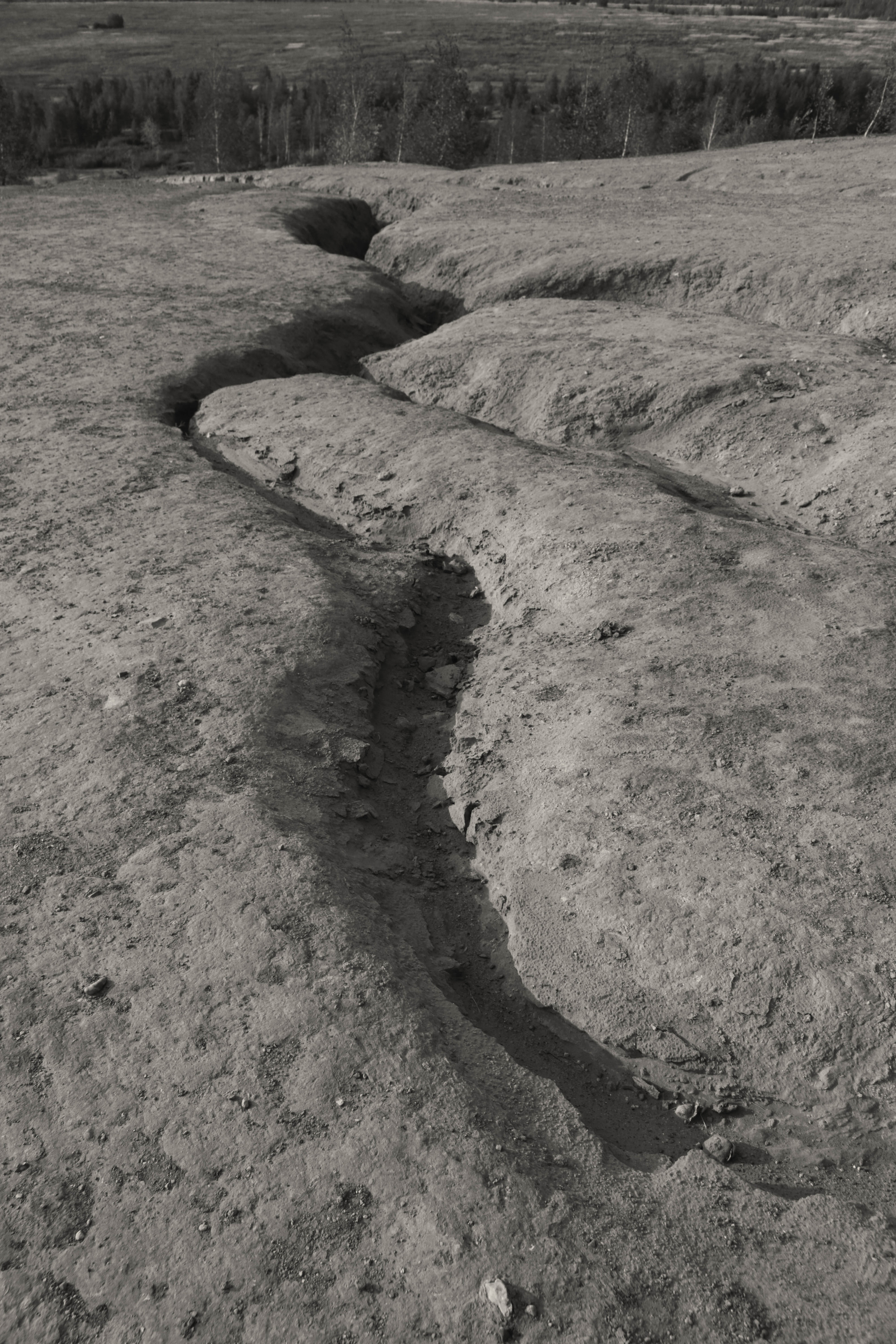 Фотограф Татьяна Марсуверских г. Жуковский, Москва. Репортажные съёмки, фотосессии, фотограф анималист, артфотограф, фотограф пейзажист. Фотограф для маркетплейсов, фотоуслуги в Жуковском Татьяна Марсуверских