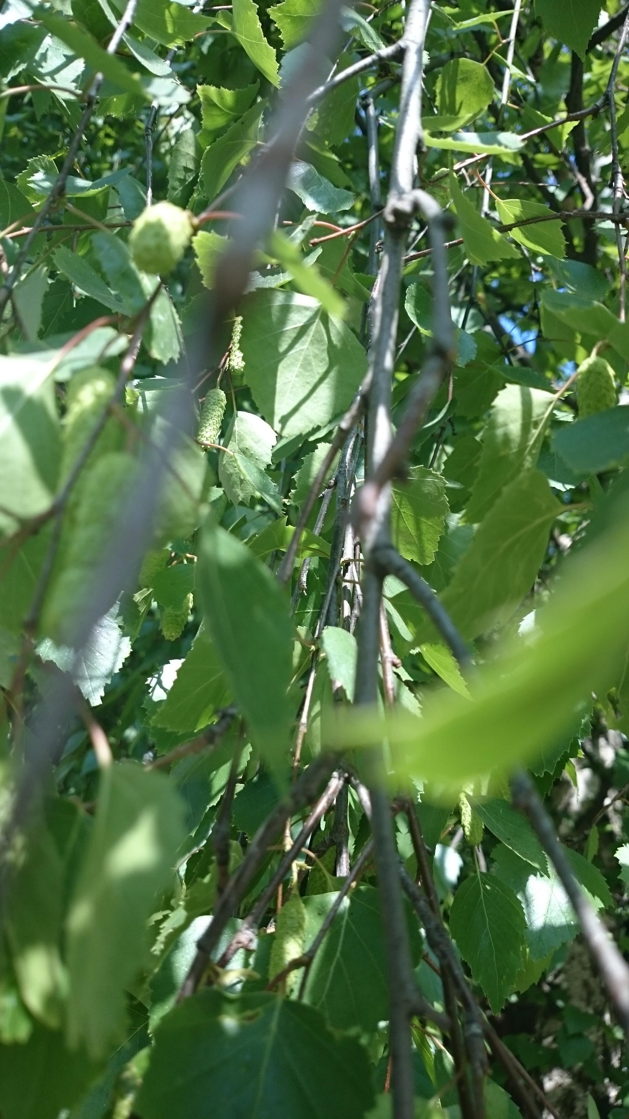 Фотограф Татьяна Марсуверских г. Жуковский, Москва. Репортажные съёмки, фотосессии, фотограф анималист, артфотограф, фотограф пейзажист. Фотограф для маркетплейсов, фотоуслуги в Жуковском Татьяна Марсуверских