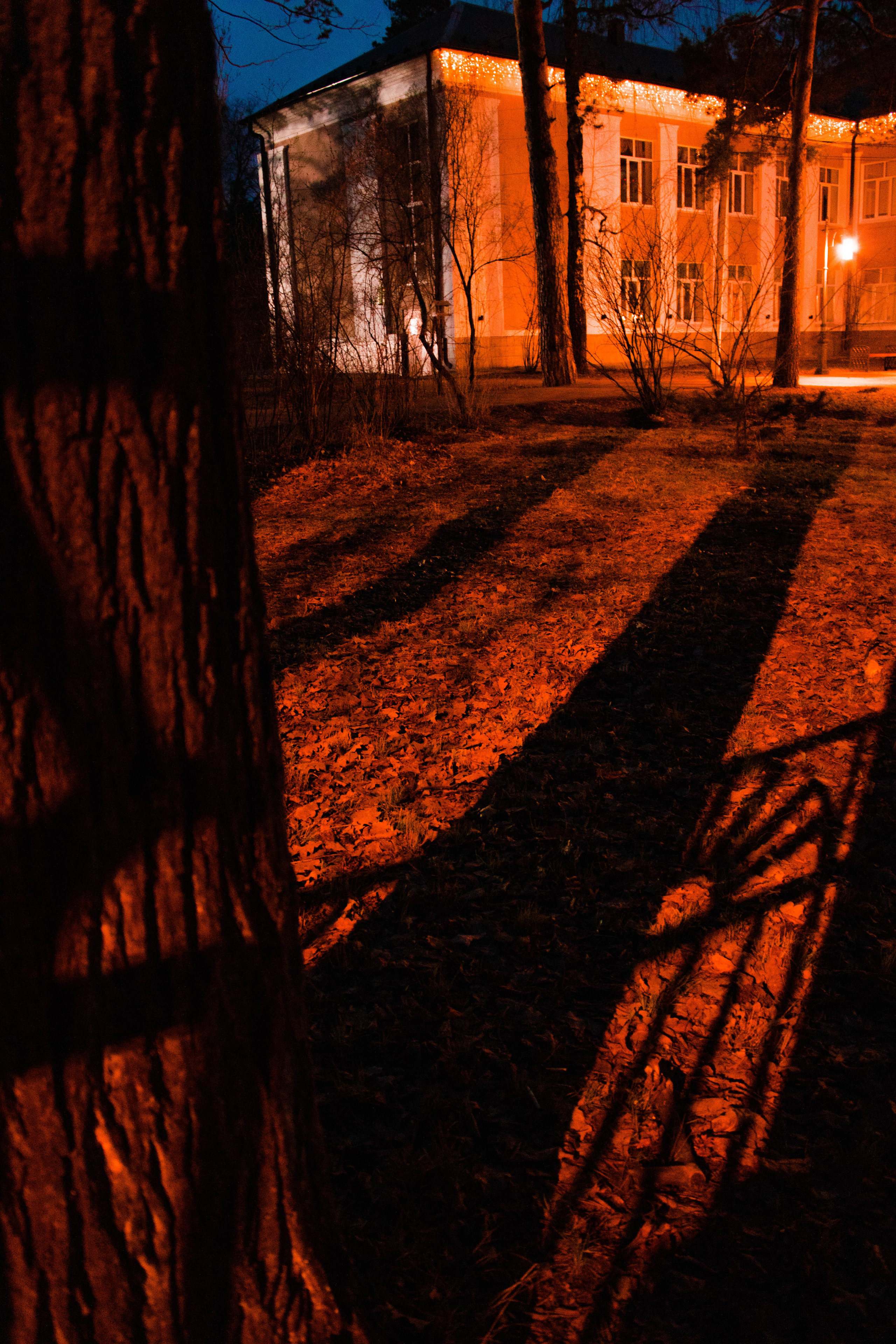 Фотограф Татьяна Марсуверских г. Жуковский, Москва. Репортажные съёмки, фотосессии, фотограф анималист, артфотограф, фотограф пейзажист. Фотограф для маркетплейсов, фотоуслуги в Жуковском Татьяна Марсуверских