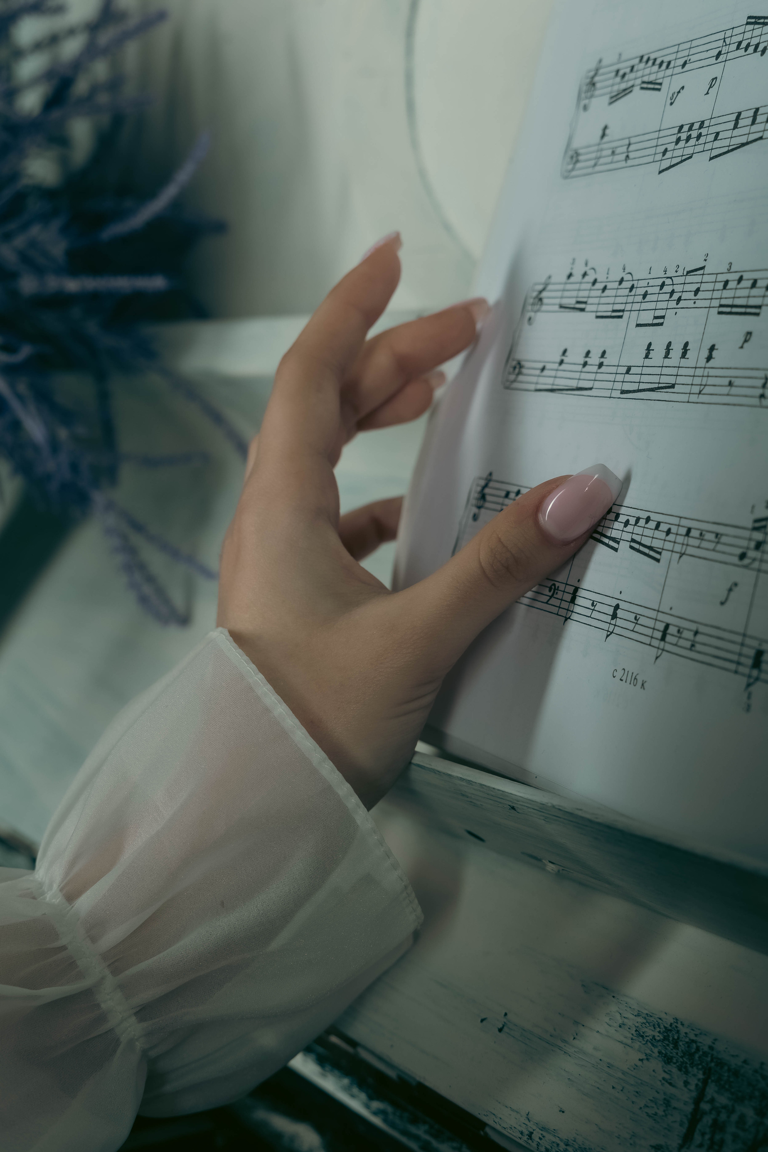 Фотограф Татьяна Марсуверских г. Жуковский, Москва. Ню, репортажные съёмки, фотосессии, фотограф анималист, фотосъёмка косплея, артфотограф. Фотограф для маркетплейсов, фотоуслуги в Жуковском Татьяна Марсуверских