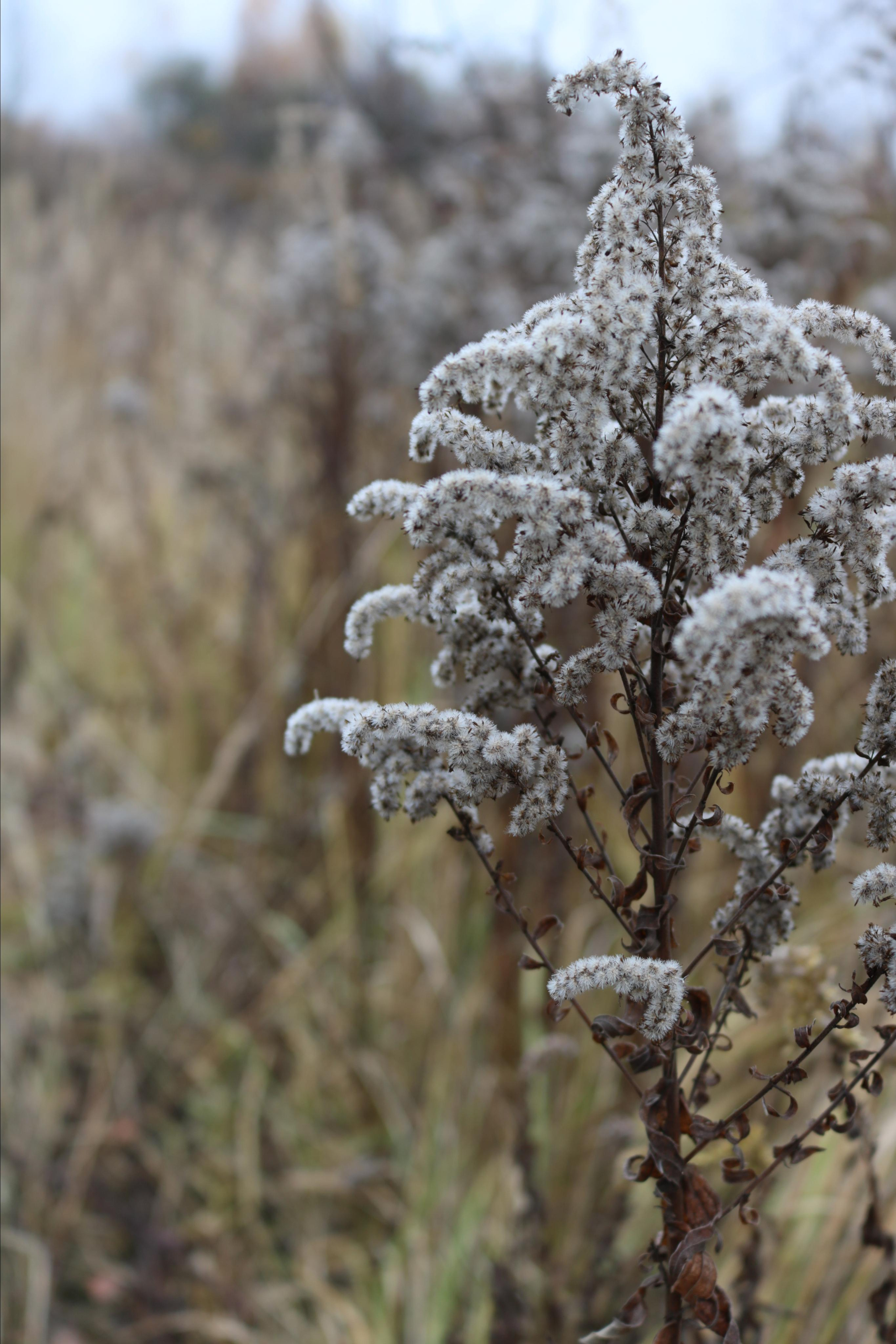 Фотограф Татьяна Марсуверских г. Жуковский, Москва. Репортажные съёмки, фотосессии, фотограф анималист, артфотограф, фотограф пейзажист. Фотограф для маркетплейсов, фотоуслуги в Жуковском Татьяна Марсуверских