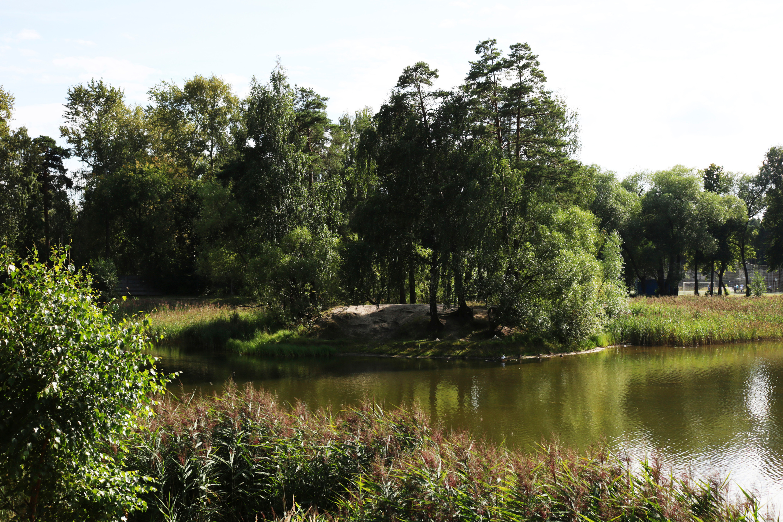 Фотограф Татьяна Марсуверских г. Жуковский, Москва. Репортажные съёмки, фотосессии, фотограф анималист, артфотограф, фотограф пейзажист. Фотограф для маркетплейсов, фотоуслуги в Жуковском Татьяна Марсуверских
