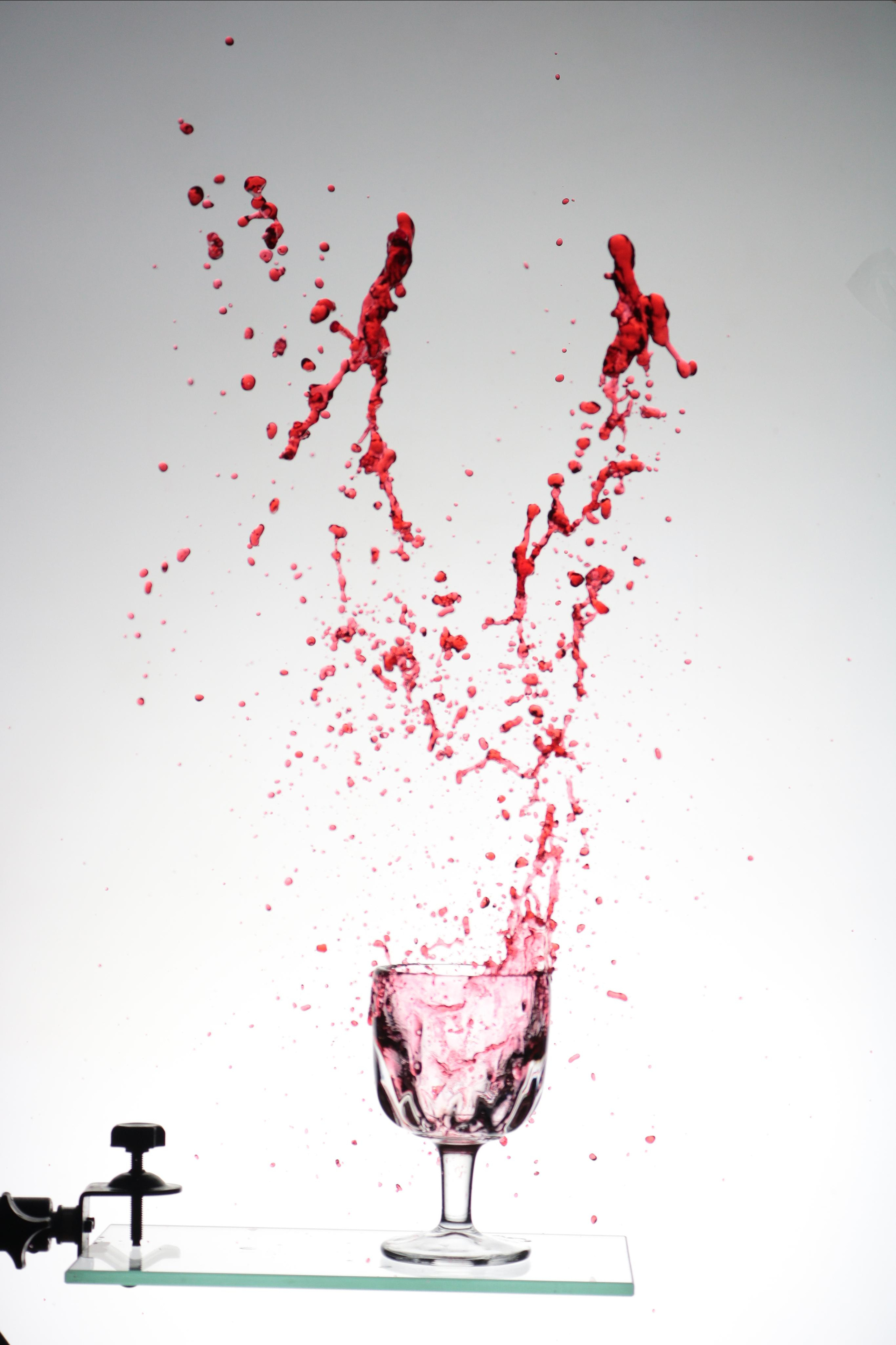 Фотограф Татьяна Марсуверских г. Жуковский, Москва и Мо. Репортажные съёмки, фотосессии, корпоративы, эмоциональный портрет, фуд фотограф. Фотограф для маркетплейсов, фотоуслуги в Жуковском Татьяна Марсуверских