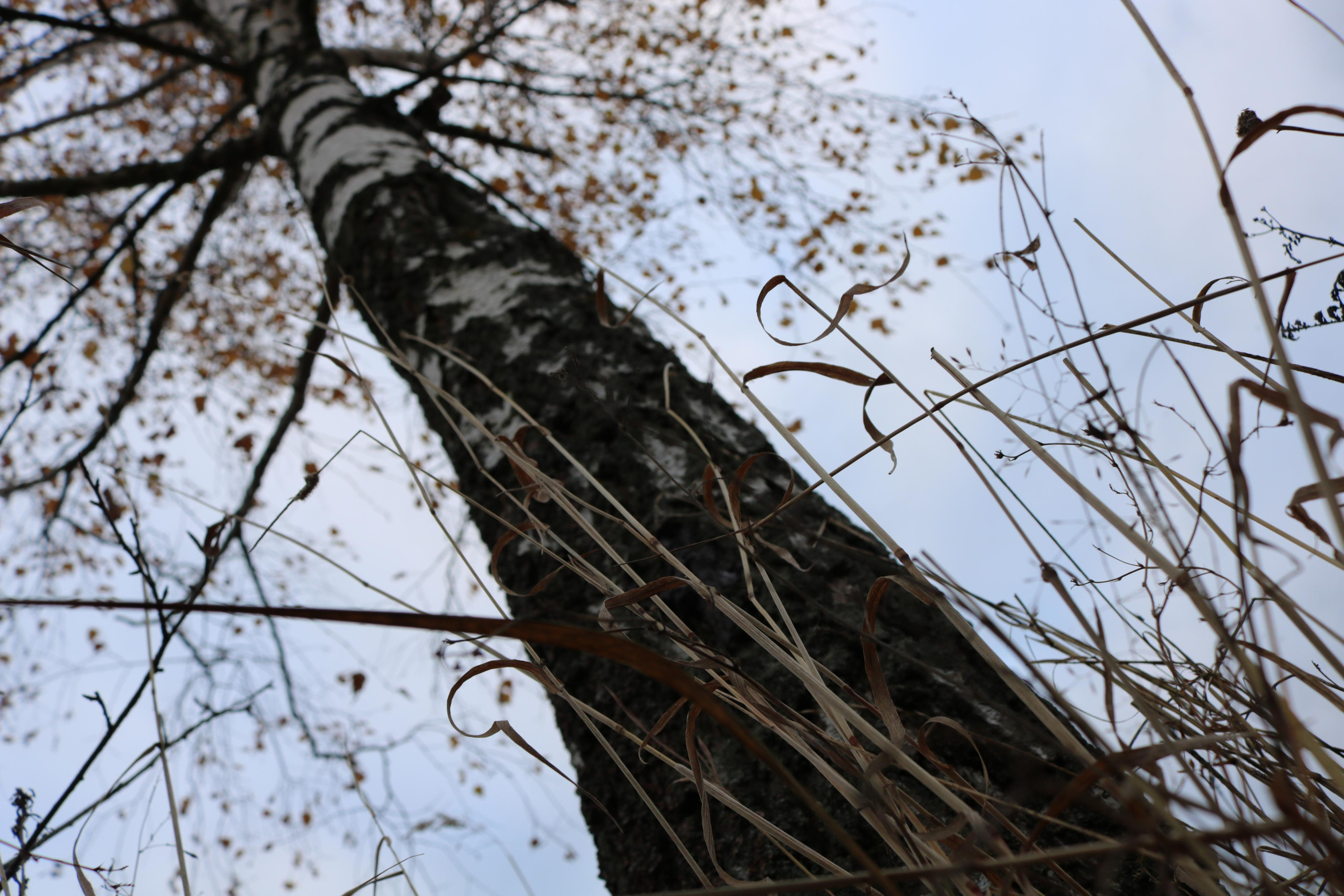 Фотограф Татьяна Марсуверских г. Жуковский, Москва. Репортажные съёмки, фотосессии, фотограф анималист, артфотограф, фотограф пейзажист. Фотограф для маркетплейсов, фотоуслуги в Жуковском Татьяна Марсуверских