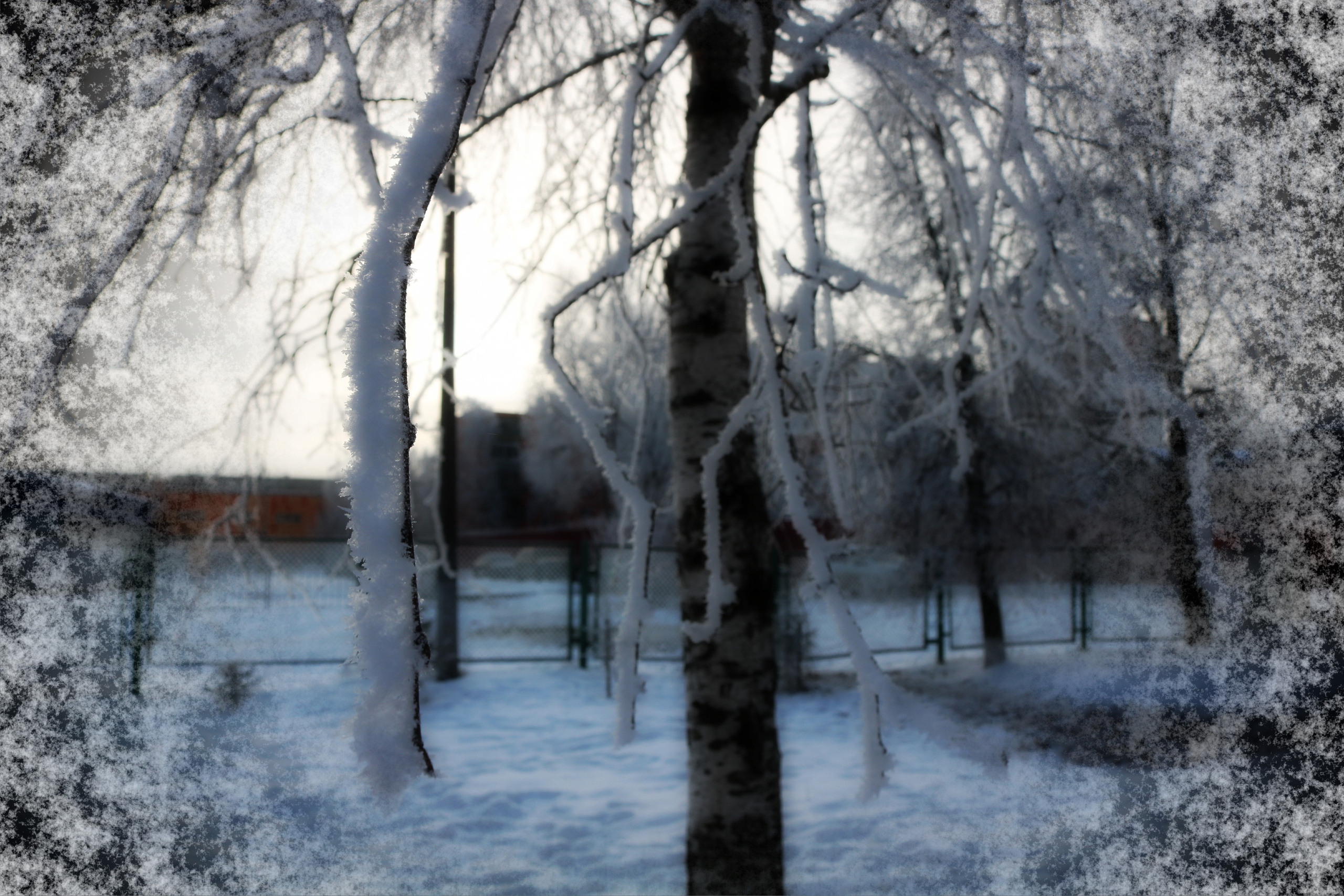 Фотограф Татьяна Марсуверских г. Жуковский, Москва. Репортажные съёмки, фотосессии, фотограф анималист, артфотограф, фотограф пейзажист. Фотограф для маркетплейсов, фотоуслуги в Жуковском Татьяна Марсуверских