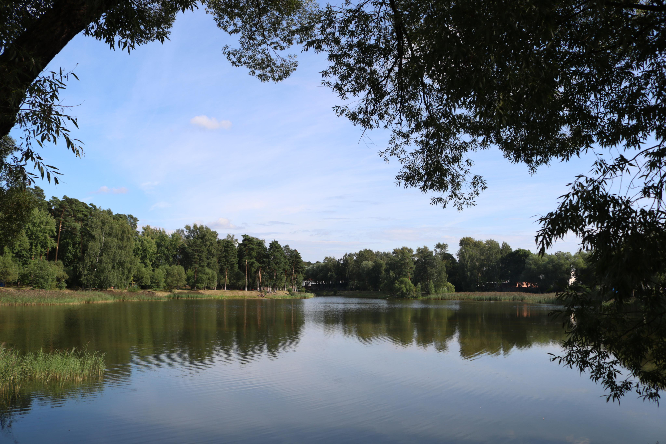 Фотограф Татьяна Марсуверских г. Жуковский, Москва. Репортажные съёмки, фотосессии, фотограф анималист, артфотограф, фотограф пейзажист. Фотограф для маркетплейсов, фотоуслуги в Жуковском Татьяна Марсуверских