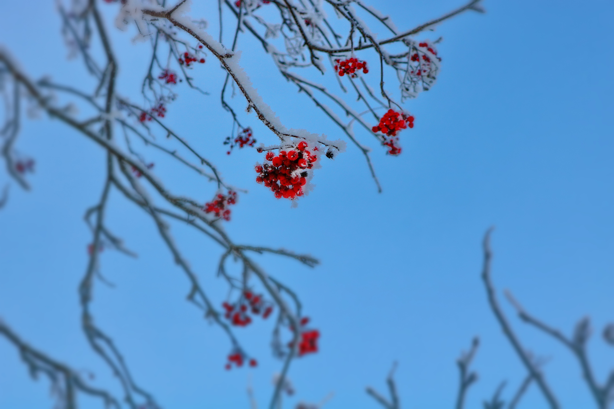 Фотограф Татьяна Марсуверских г. Жуковский, Москва. Репортажные съёмки, фотосессии, фотограф анималист, артфотограф, фотограф пейзажист. Фотограф для маркетплейсов, фотоуслуги в Жуковском Татьяна Марсуверских