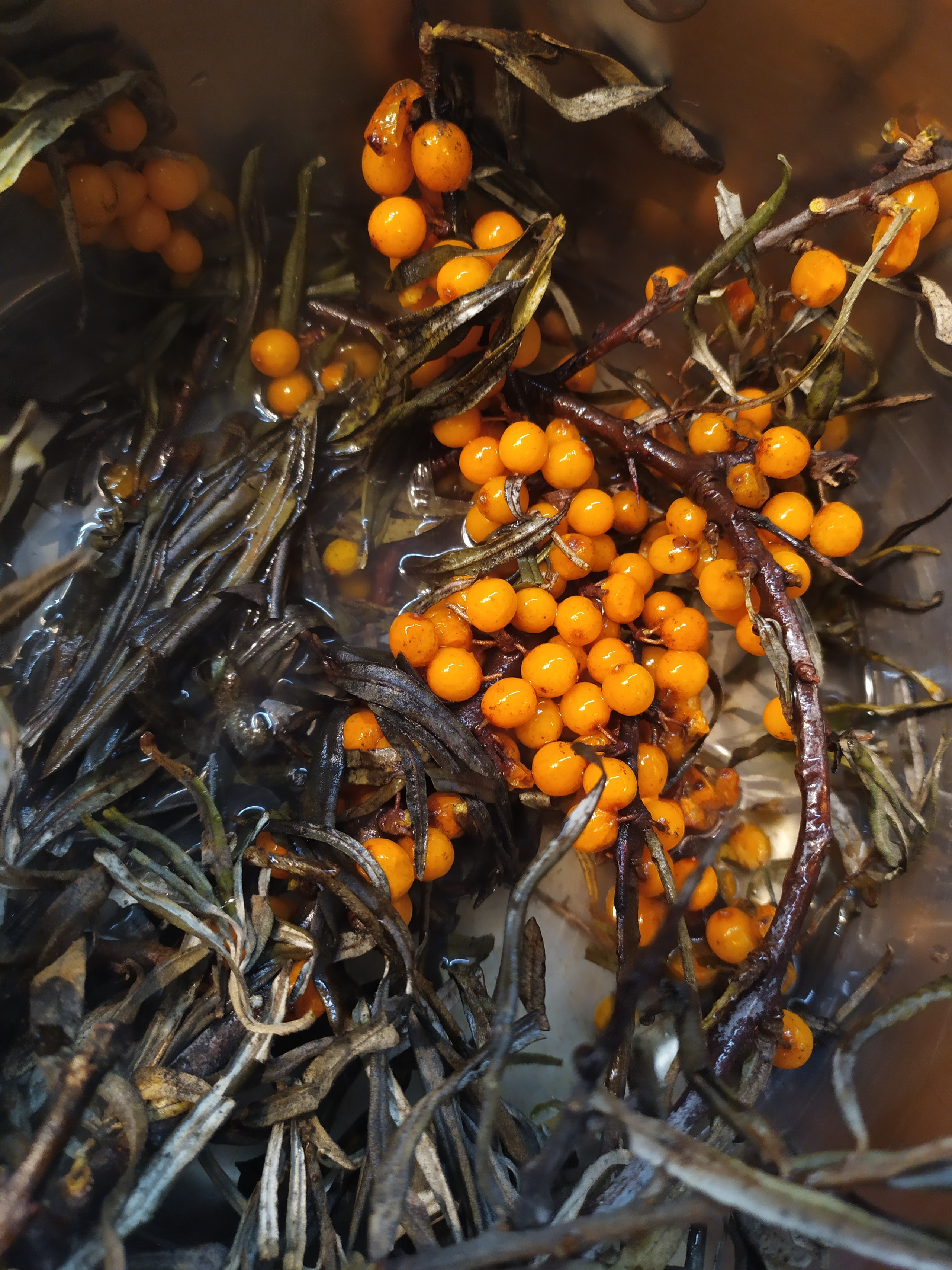 Фотограф Татьяна Марсуверских г. Жуковский, Москва и Мо. Репортажные съёмки, фотосессии, корпоративы, эмоциональный портрет, фуд фотограф. Фотограф для маркетплейсов, фотоуслуги в Жуковском Татьяна Марсуверских