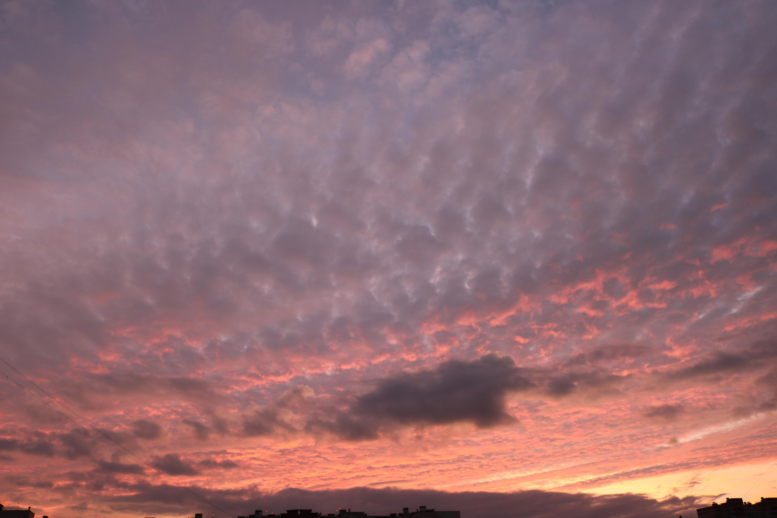Фотограф Татьяна Марсуверских г. Жуковский, Москва. Репортажные съёмки, фотосессии, фотограф анималист, артфотограф, фотограф пейзажист. Фотограф для маркетплейсов, фотоуслуги в Жуковском Татьяна Марсуверских