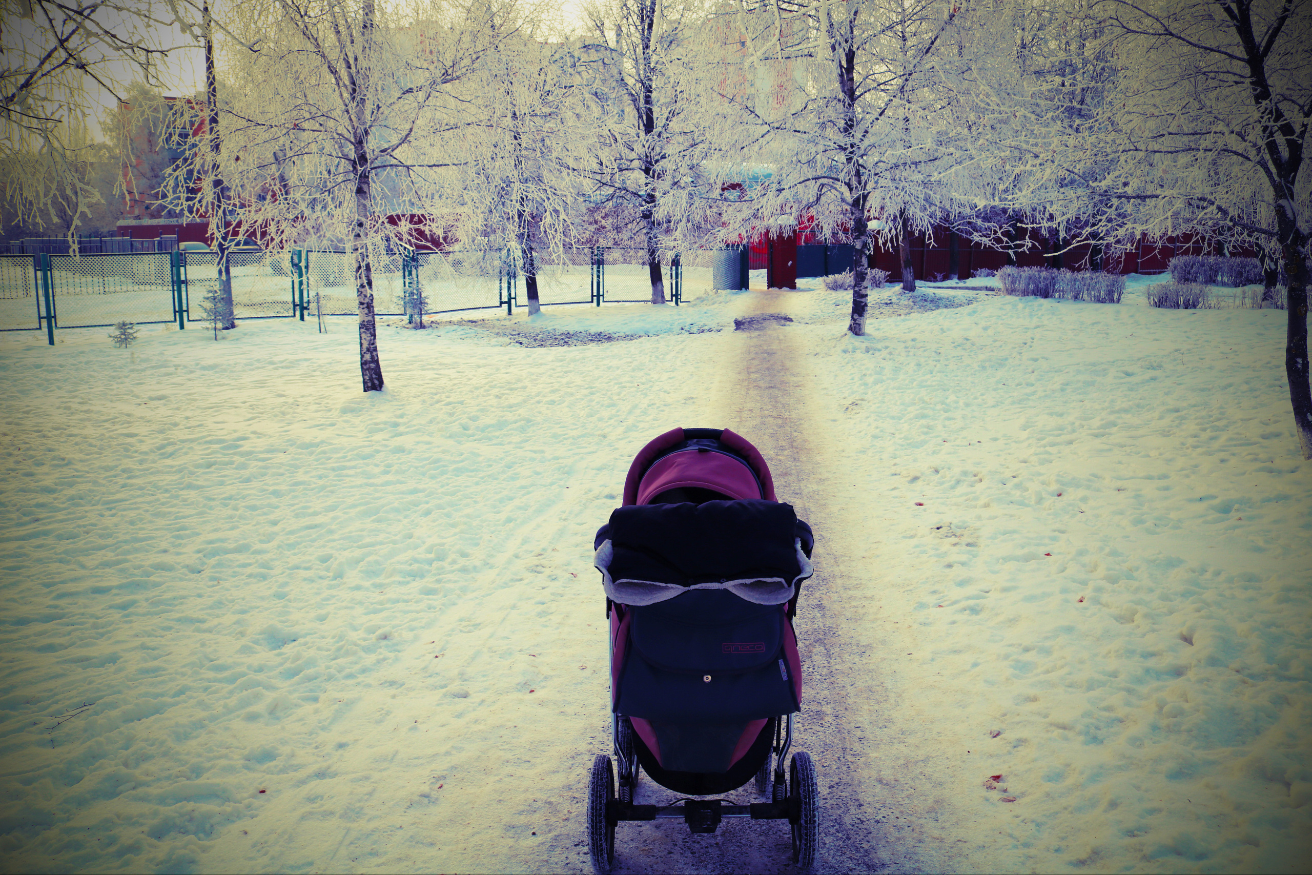 Фотограф Татьяна Марсуверских г. Жуковский, Москва и Мо. Репортажные съёмки, фотосессии,  фотограф анималист, фотосъёмка животных. Фотограф для маркетплейсов, фотоуслуги в Жуковском Татьяна Марсуверских