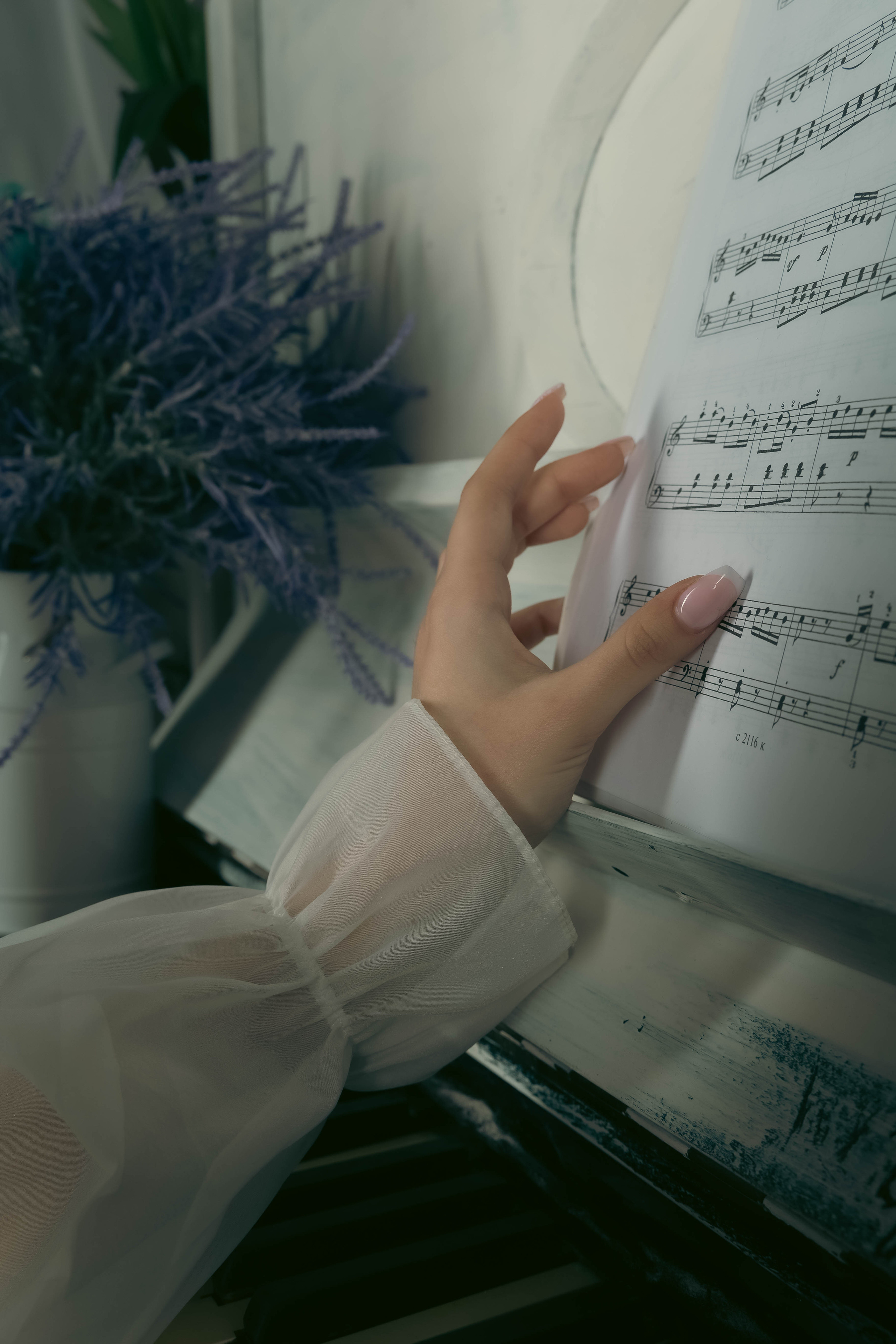 Фотограф Татьяна Марсуверских г. Жуковский, Москва. Ню, репортажные съёмки, фотосессии, фотограф анималист, фотосъёмка косплея, артфотограф. Фотограф для маркетплейсов, фотоуслуги в Жуковском Татьяна Марсуверских