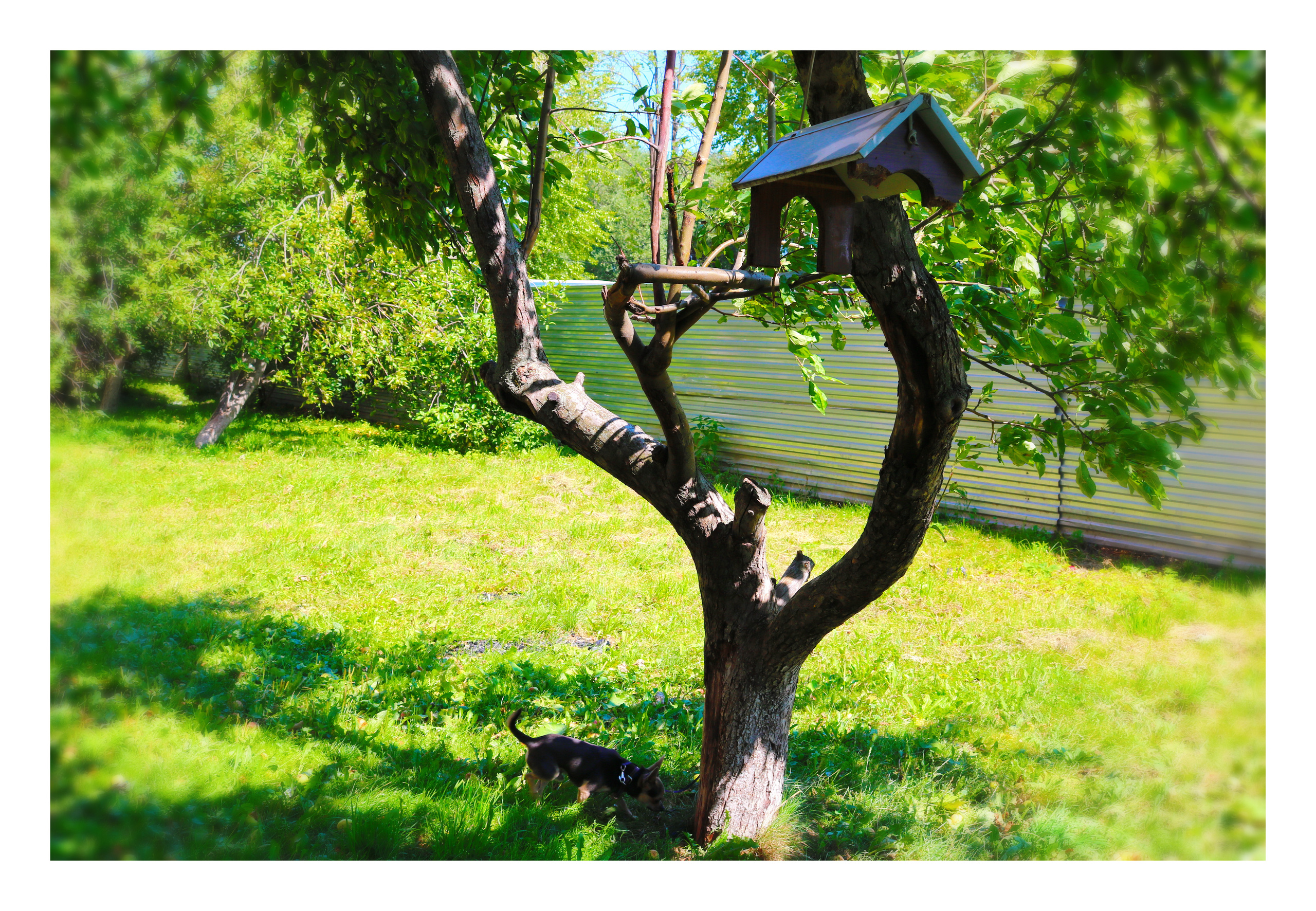 Фотограф Татьяна Марсуверских г. Жуковский, Москва. Репортажные съёмки, фотосессии, фотограф анималист, артфотограф, фотограф пейзажист. Фотограф для маркетплейсов, фотоуслуги в Жуковском Татьяна Марсуверских