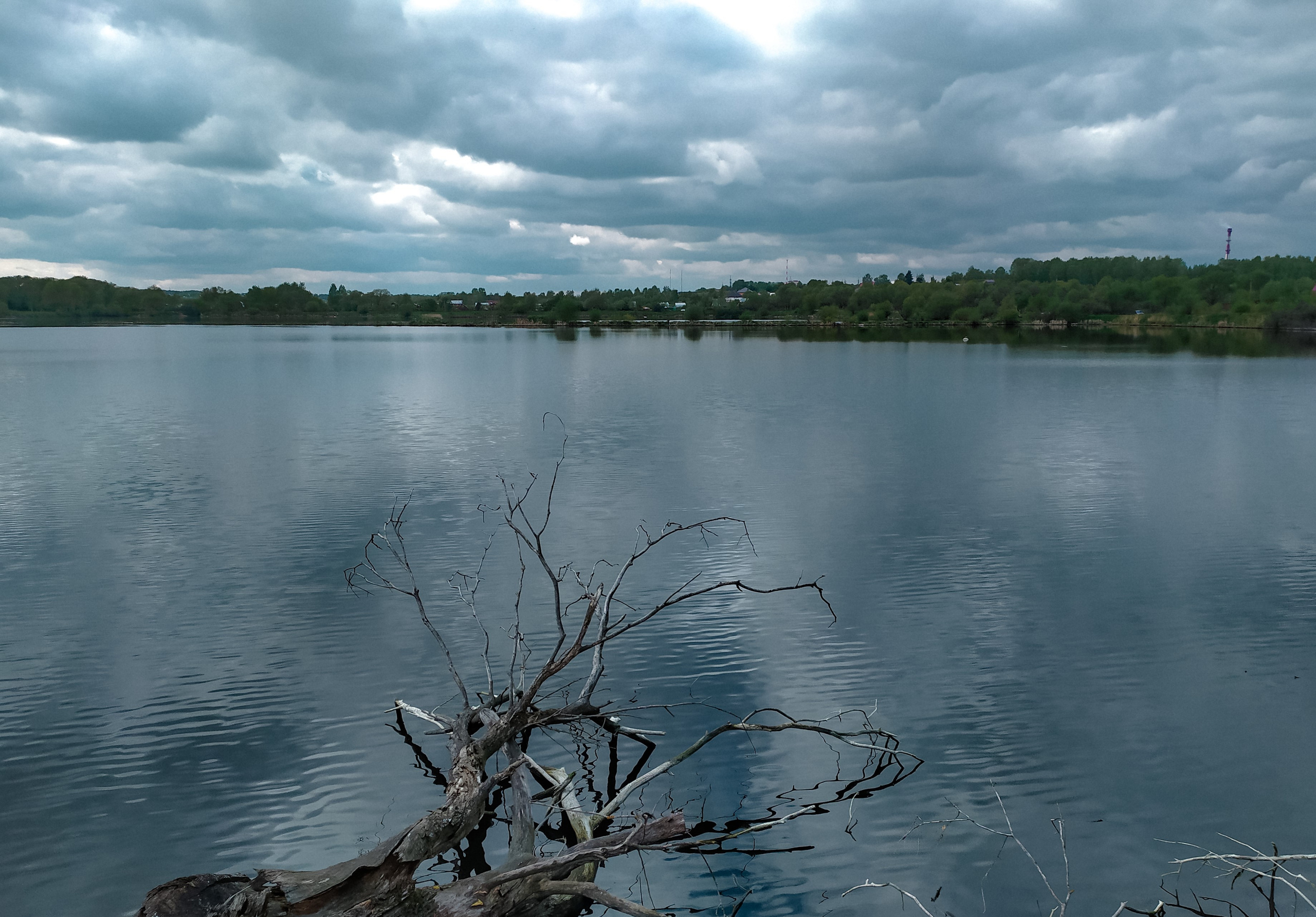 Фотограф Татьяна Марсуверских г. Жуковский, Москва. Репортажные съёмки, фотосессии, фотограф анималист, артфотограф, фотограф пейзажист. Фотограф для маркетплейсов, фотоуслуги в Жуковском Татьяна Марсуверских