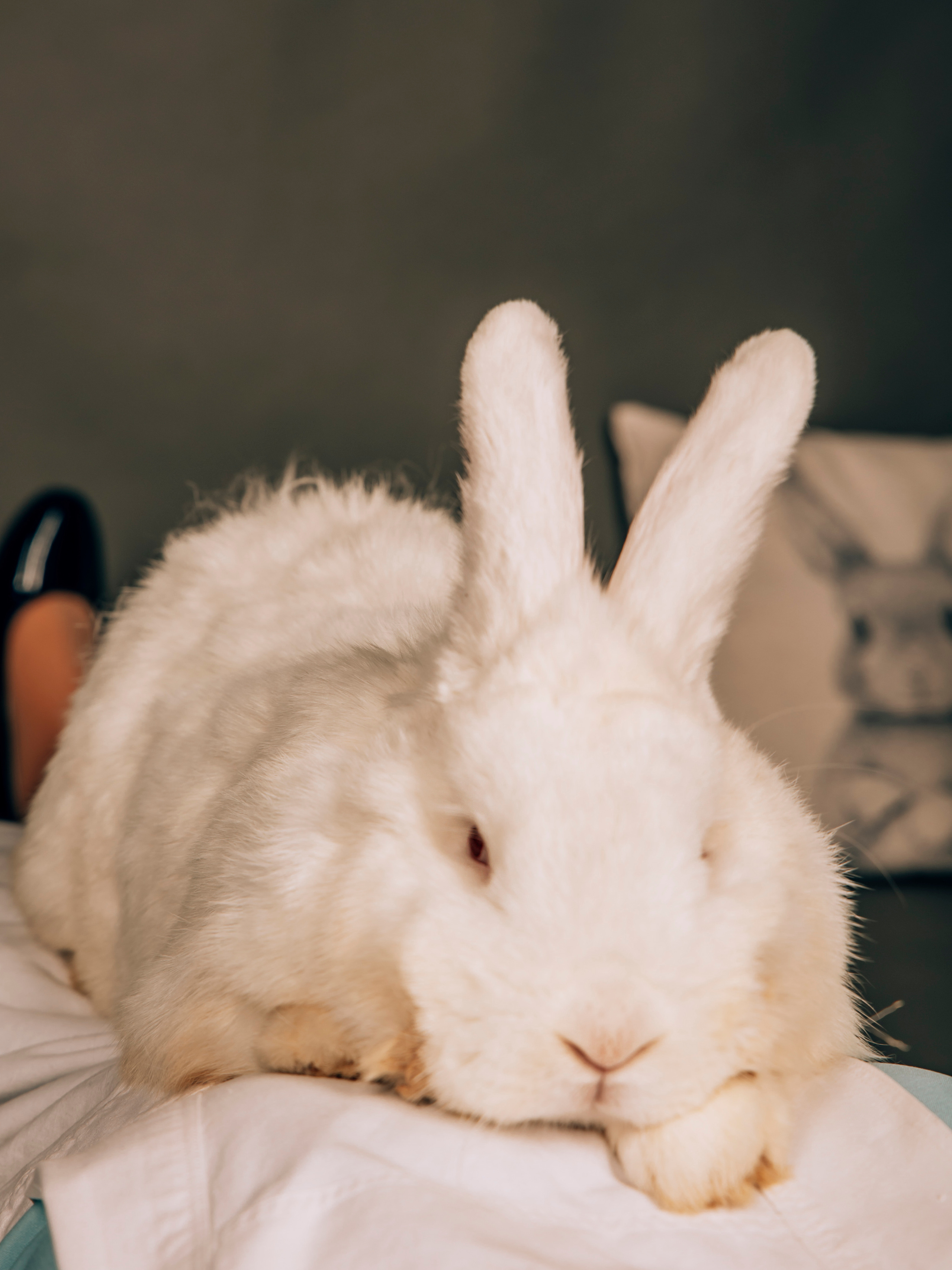 Фотограф Татьяна Марсуверских г. Жуковский, Москва. Репортаж, арт фотограф, пейзажист, реставрация фотографий, фотосувениры,реквизит. Фотограф для маркетплейсов, фотоуслуги в Жуковском Татьяна Марсуверских