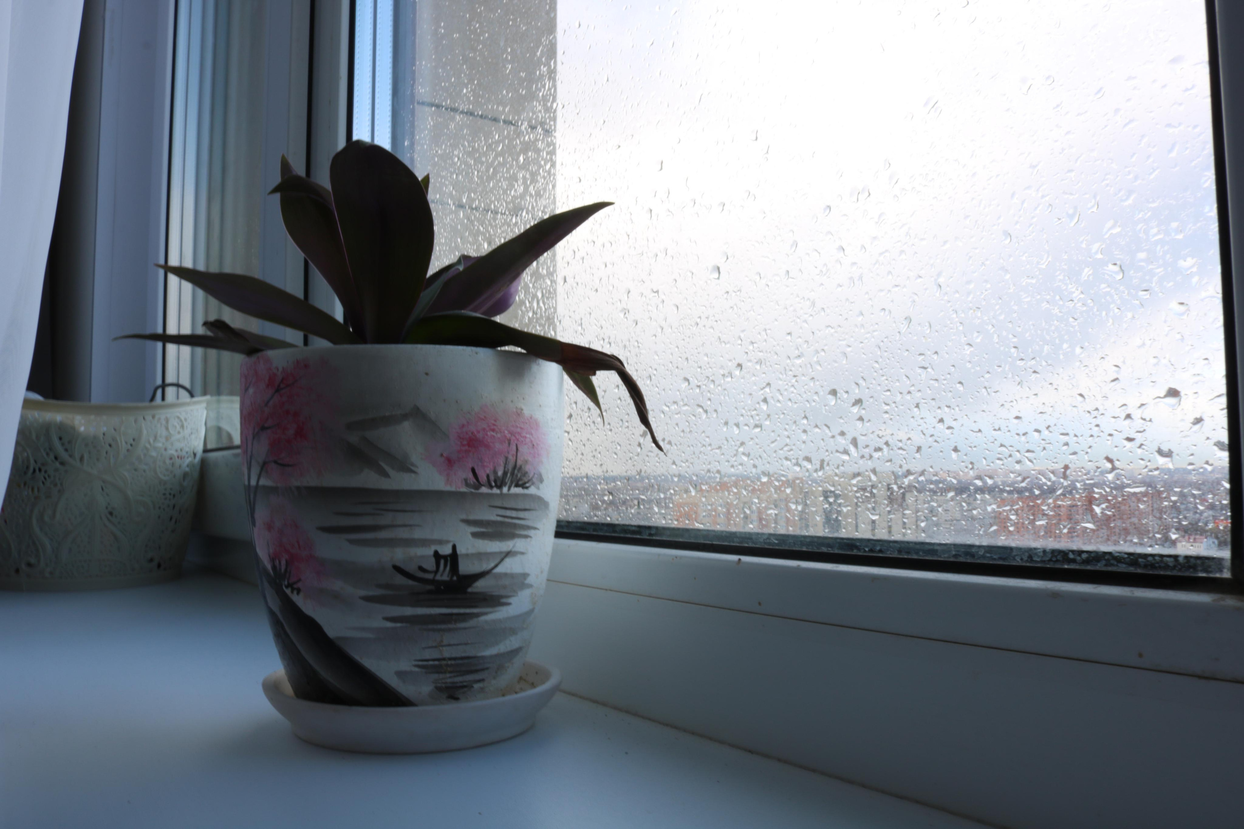 Фотограф Татьяна Марсуверских г. Жуковский, Москва. Репортажные съёмки, фотосессии, фотограф анималист, артфотограф, фотограф пейзажист. Фотограф для маркетплейсов, фотоуслуги в Жуковском Татьяна Марсуверских