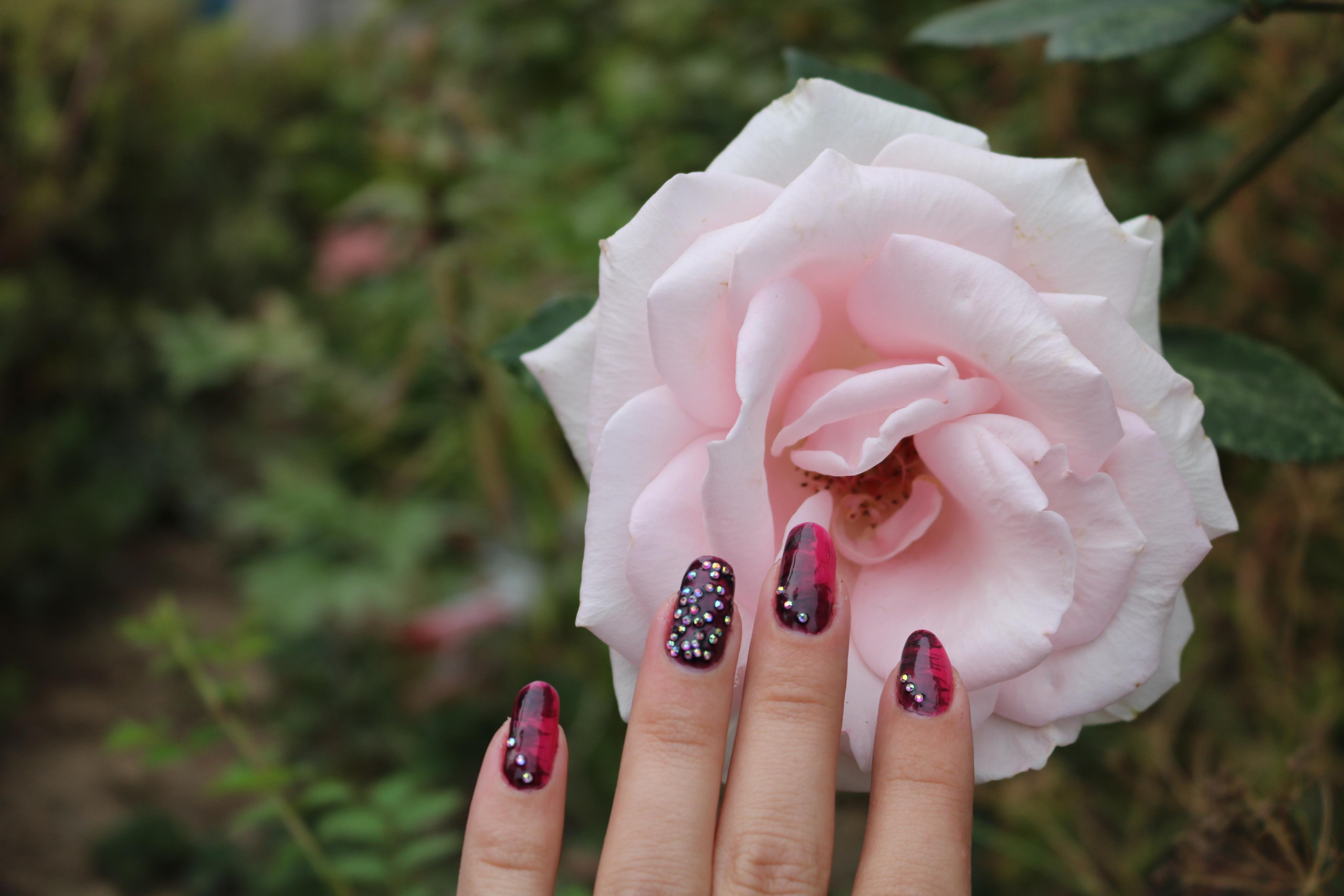 Фотограф Татьяна Марсуверских г. Жуковский, Москва. Репортажные съёмки, фотосессии, фотограф анималист, артфотограф, фотограф пейзажист. Фотограф для маркетплейсов, фотоуслуги в Жуковском Татьяна Марсуверских