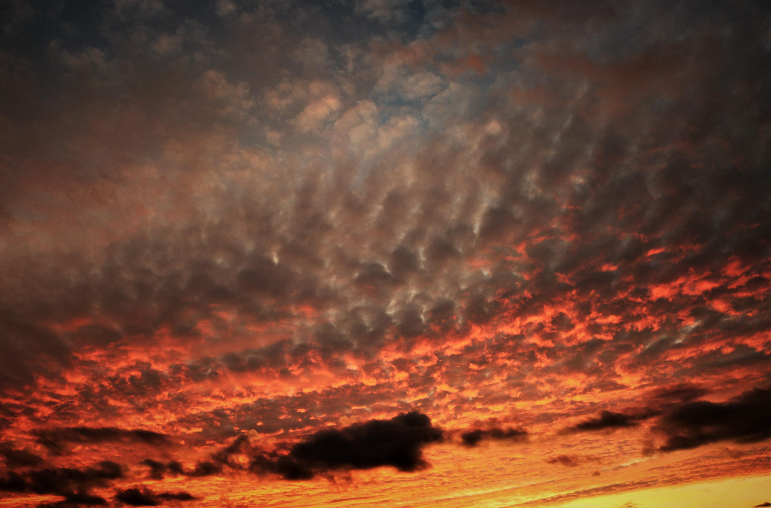 Фотограф Татьяна Марсуверских г. Жуковский, Москва. Репортажные съёмки, фотосессии, фотограф анималист, артфотограф, фотограф пейзажист. Фотограф для маркетплейсов, фотоуслуги в Жуковском Татьяна Марсуверских