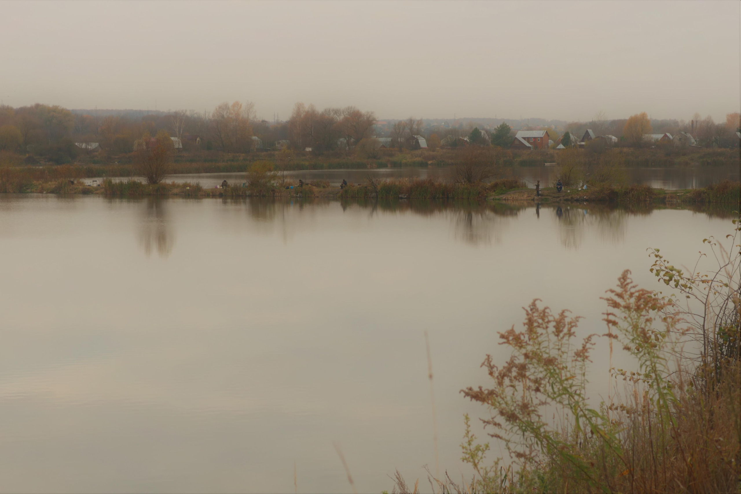 Фотограф Татьяна Марсуверских г. Жуковский, Москва. Репортажные съёмки, фотосессии, фотограф анималист, артфотограф, фотограф пейзажист. Фотограф для маркетплейсов, фотоуслуги в Жуковском Татьяна Марсуверских