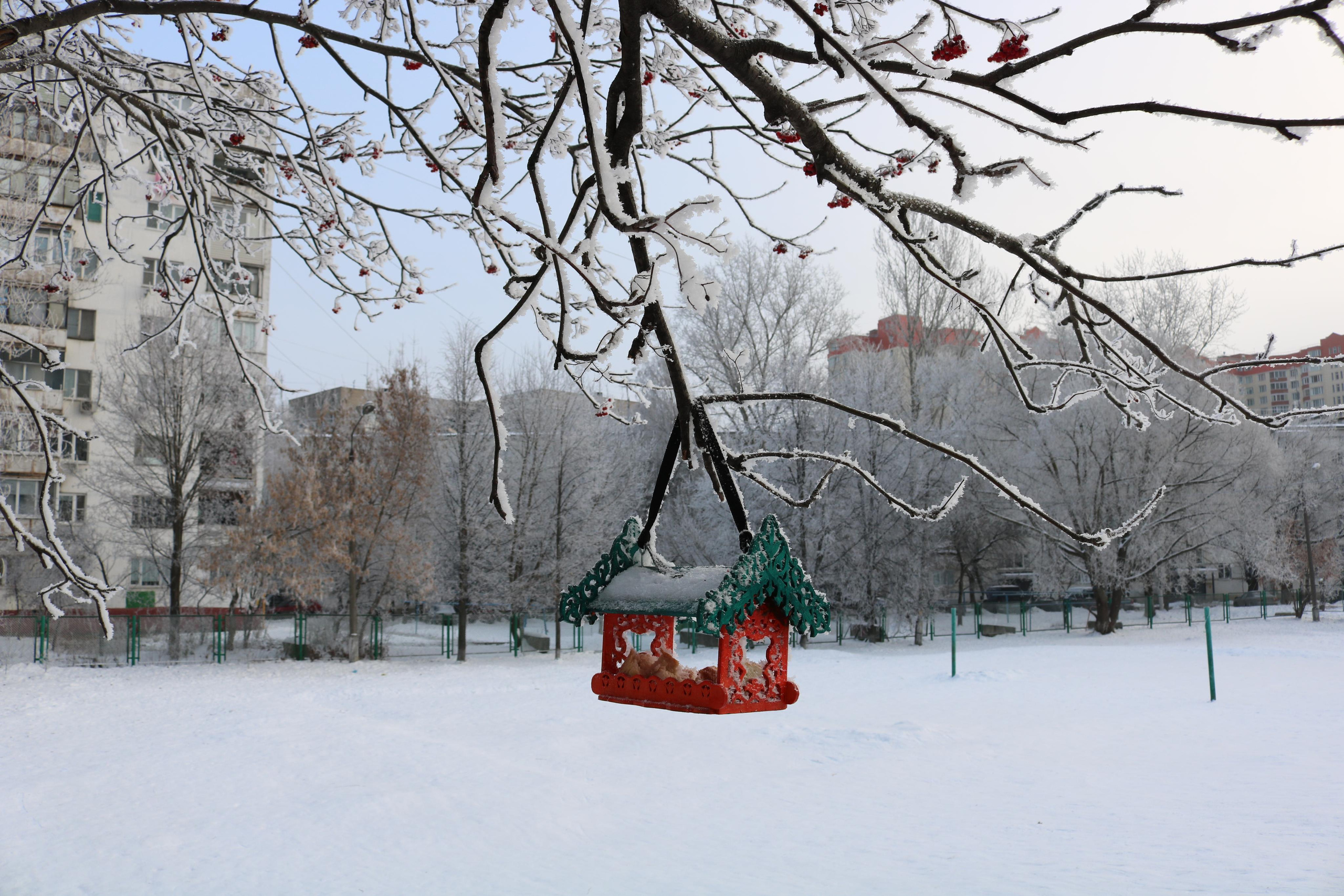 Фотограф Татьяна Марсуверских г. Жуковский, Москва. Репортажные съёмки, фотосессии, фотограф анималист, артфотограф, фотограф пейзажист. Фотограф для маркетплейсов, фотоуслуги в Жуковском Татьяна Марсуверских