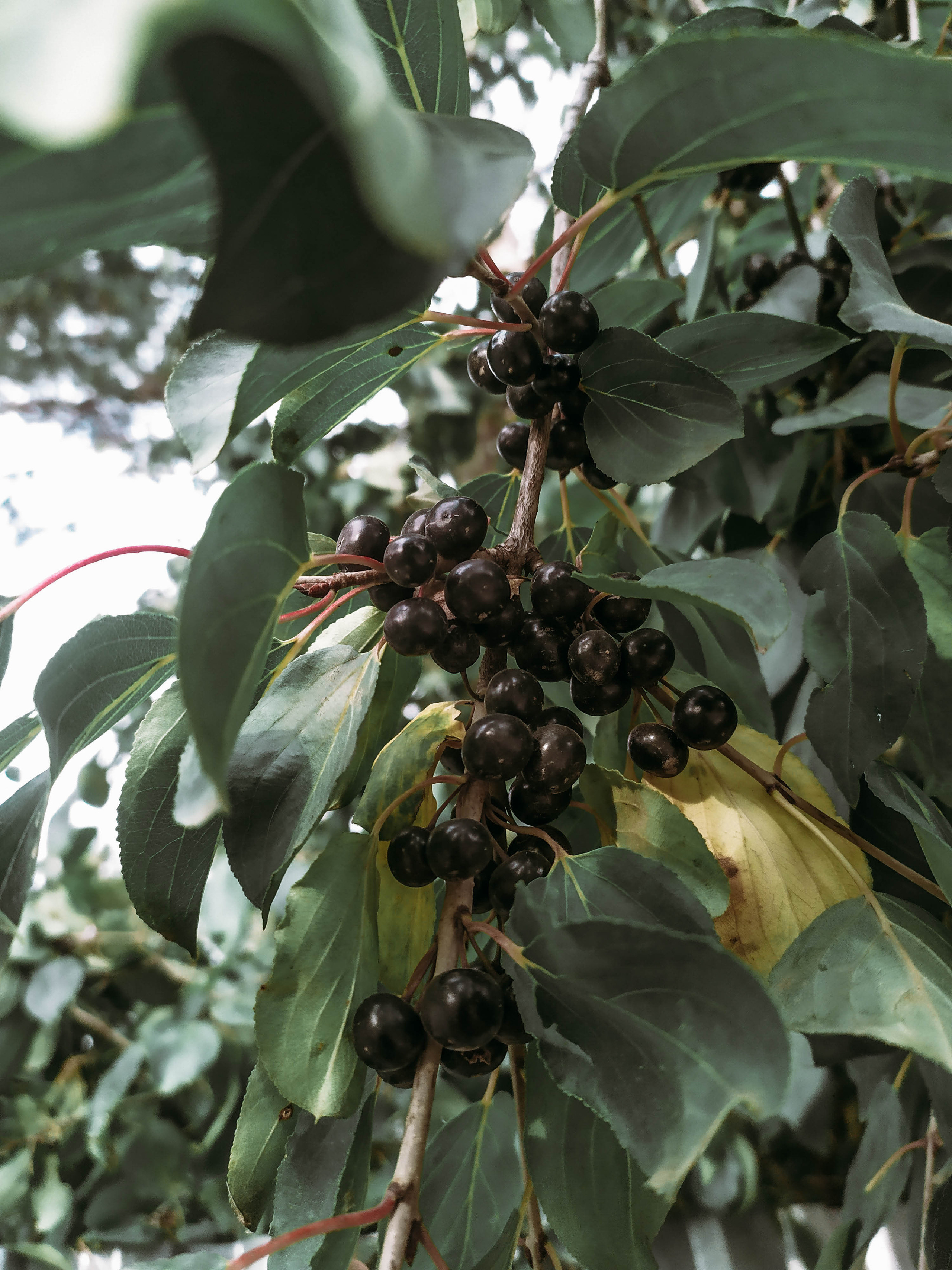 Фотограф Татьяна Марсуверских г. Жуковский, Москва. Репортажные съёмки, фотосессии, фотограф анималист, артфотограф, фотограф пейзажист. Фотограф для маркетплейсов, фотоуслуги в Жуковском Татьяна Марсуверских